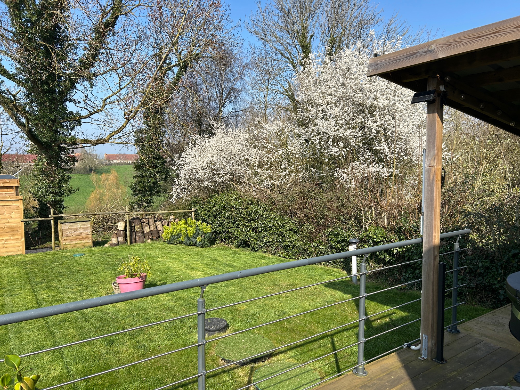 Le printemps pointe le bout de son nez