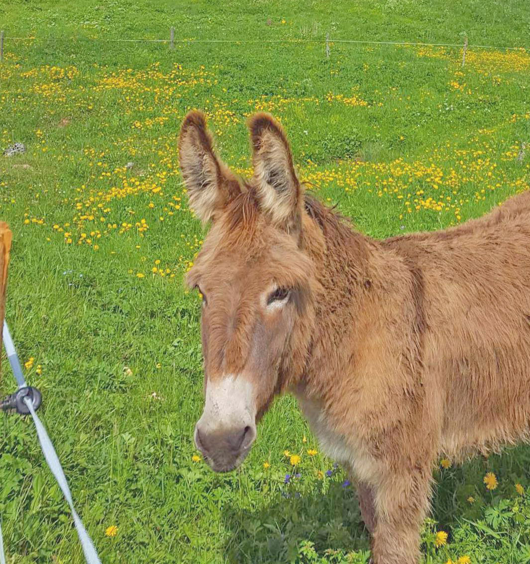 102385202 173713397440876 6665616178048770002 n