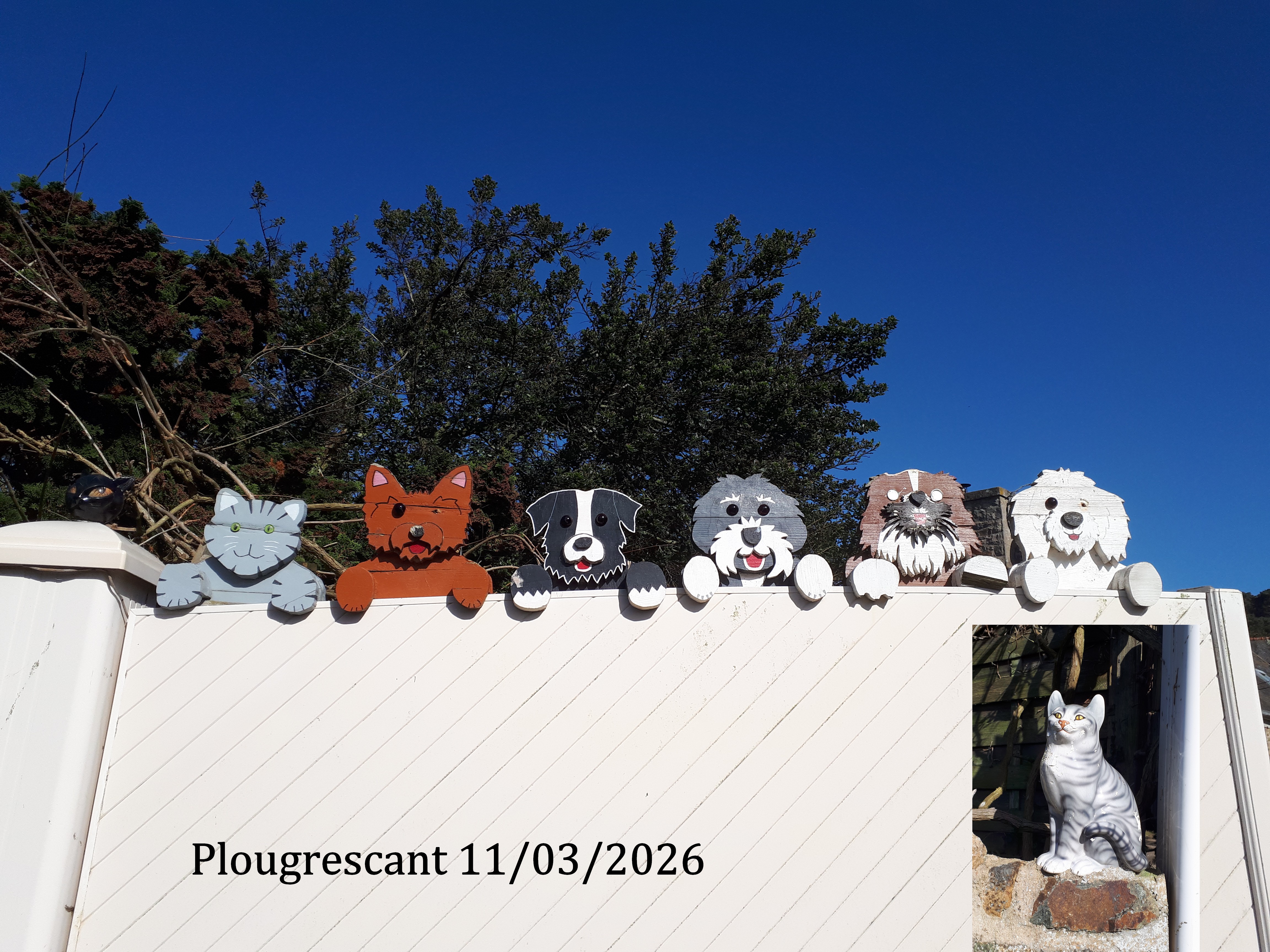 2026 03 11 plougrescant 8 