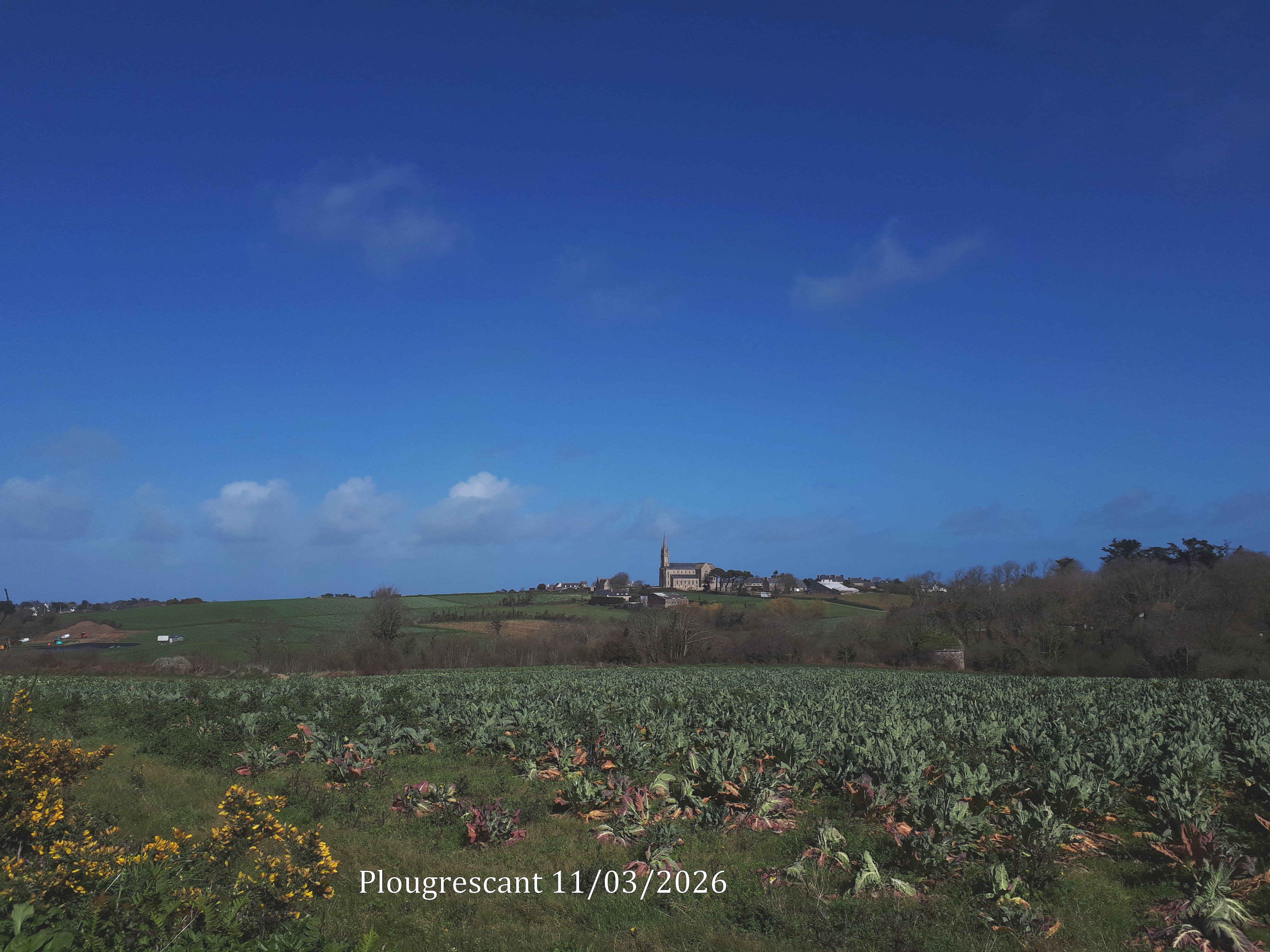 2026 03 11 plougrescant 3 