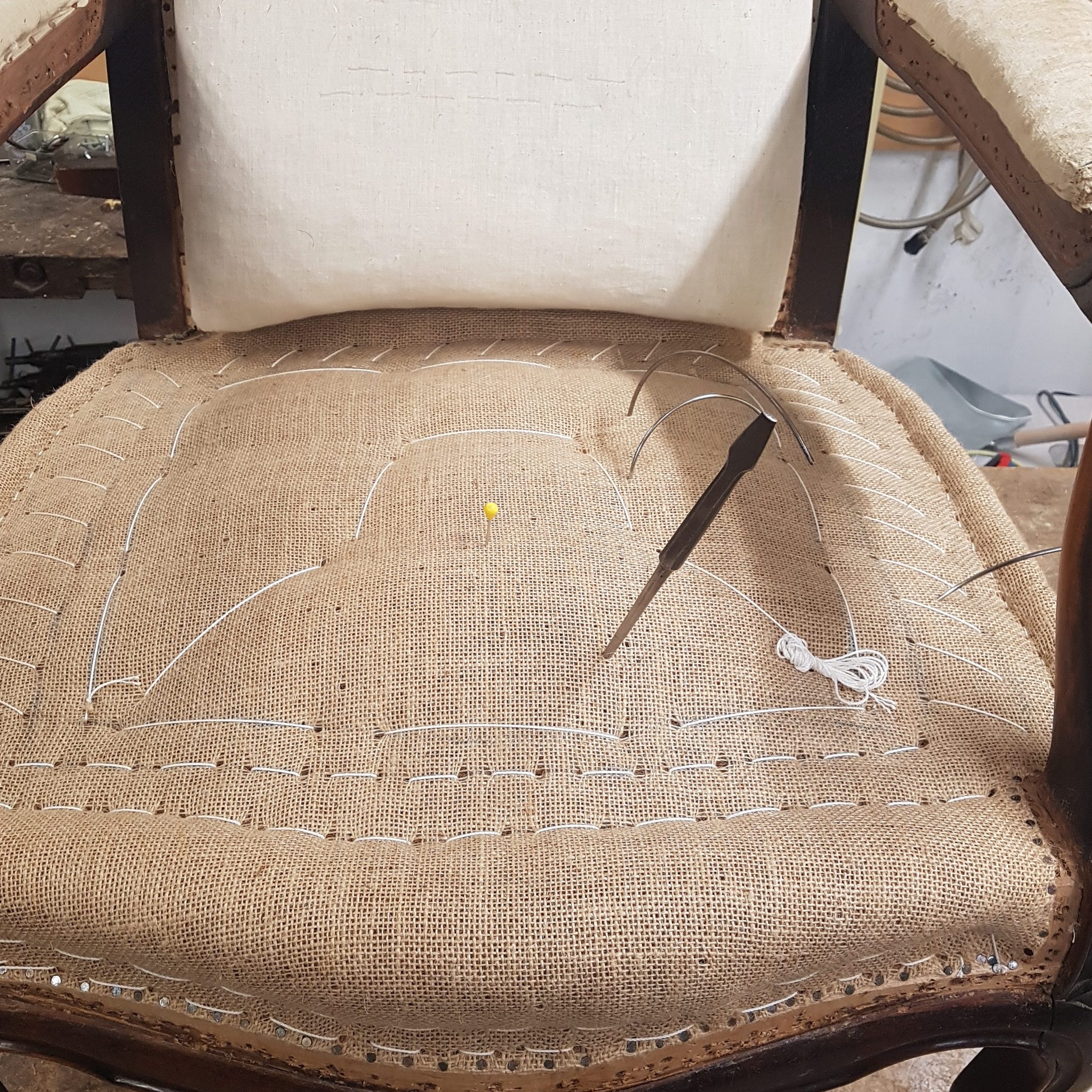 F3e6f crop 252 252 2520 2520 0 20230331 101007 rotated 1