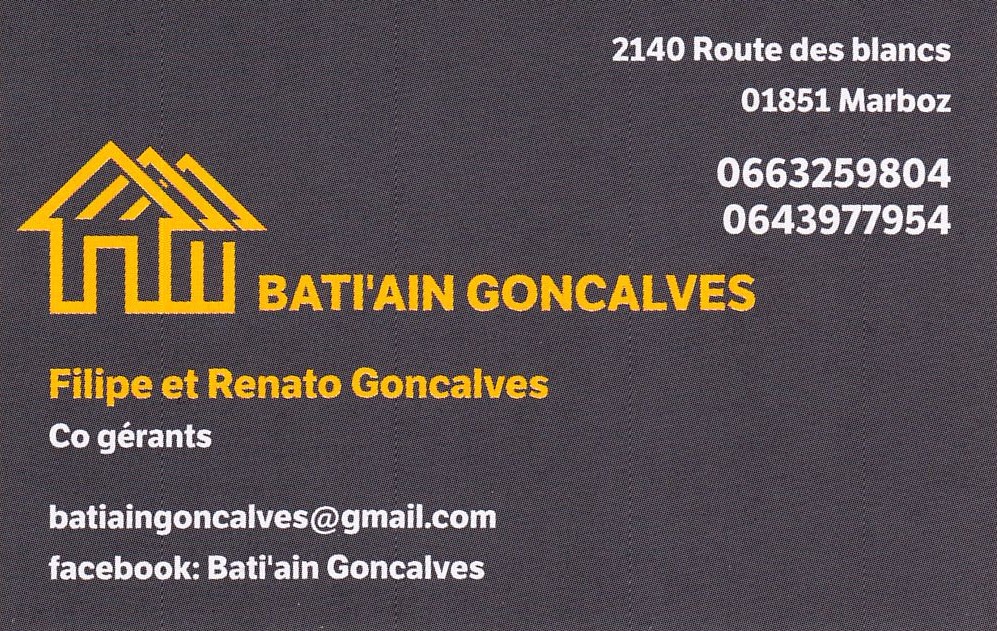Logo bati ain