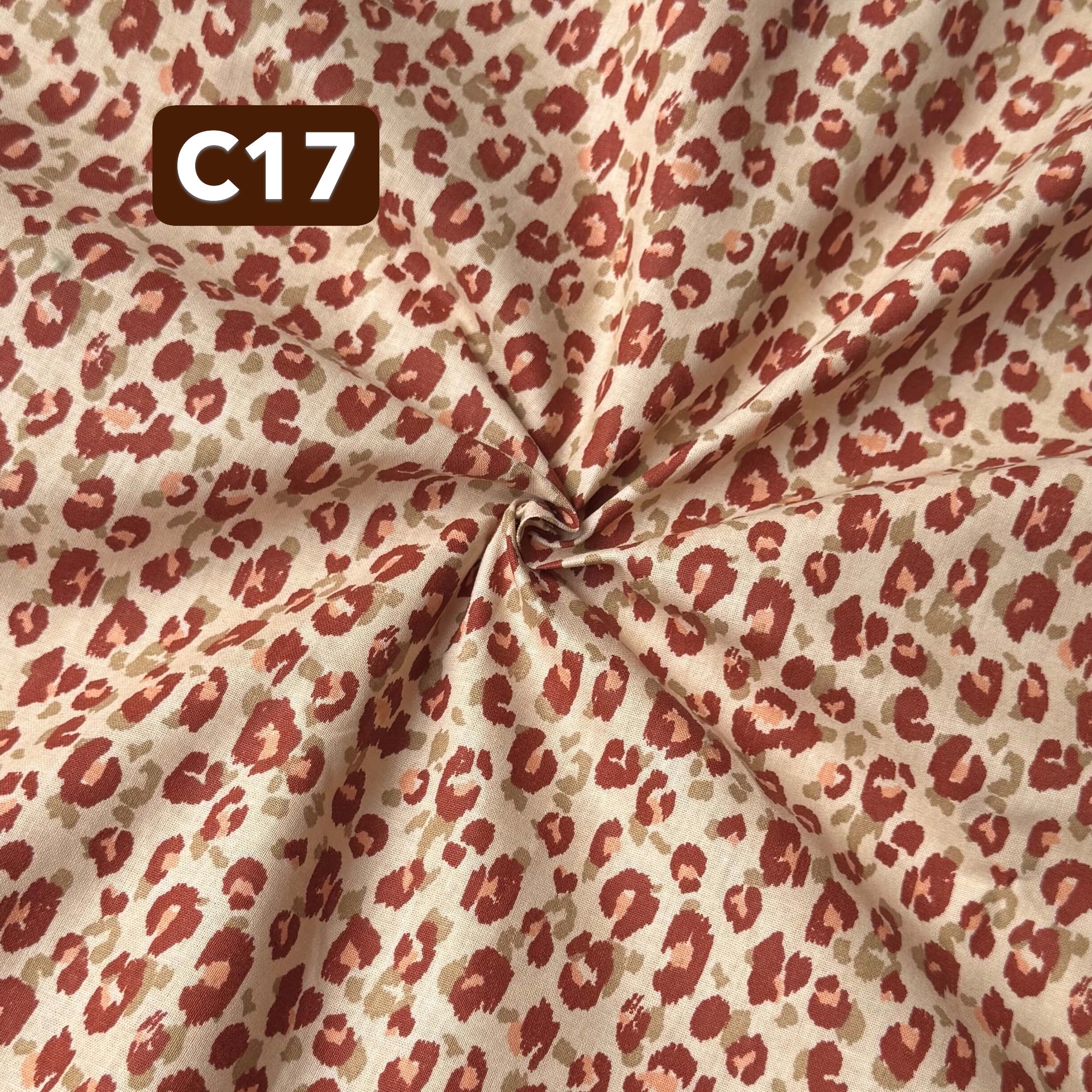 E904baac 1da4 4e8c b232 feb34ca58347