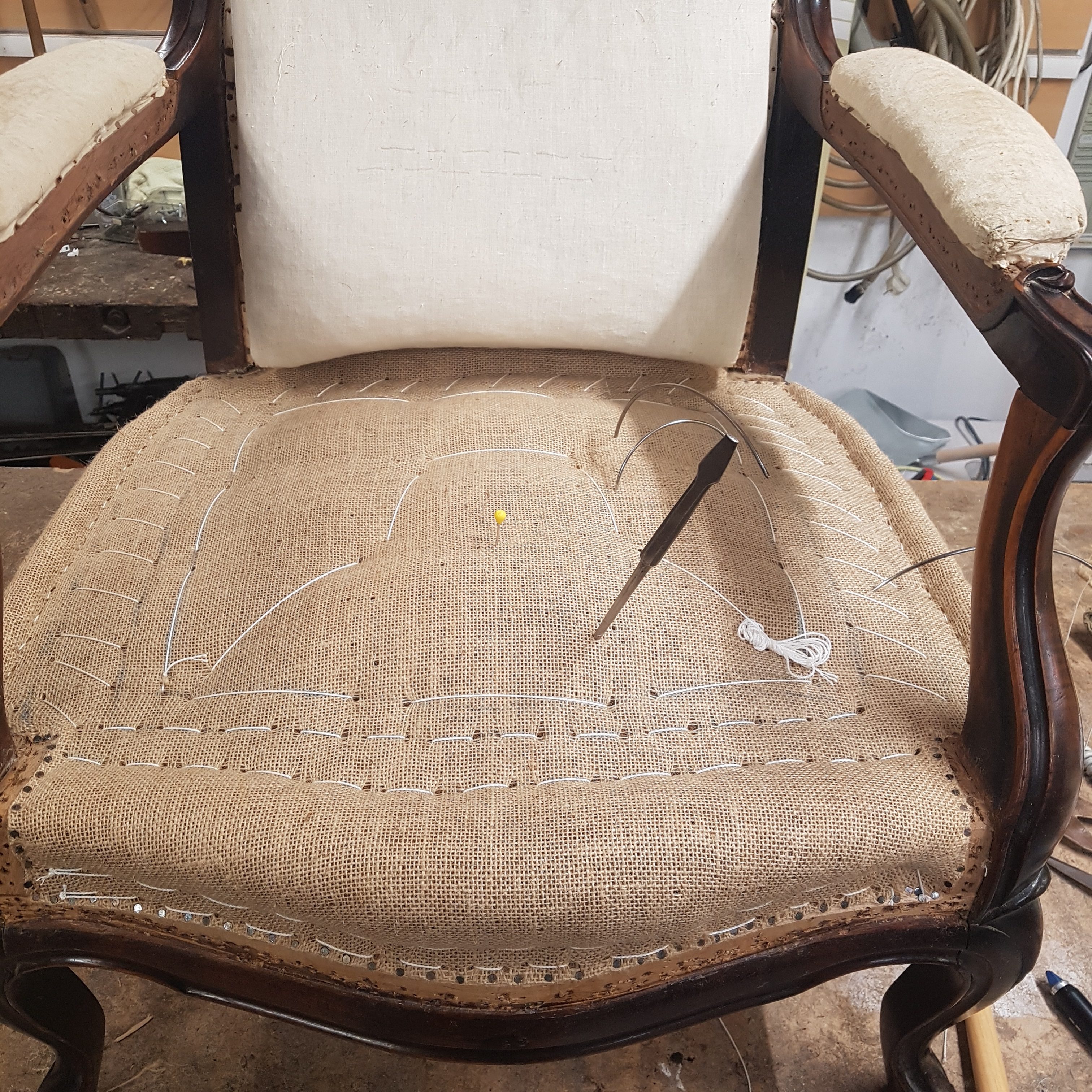 94db9 crop 0 0 3024 3024 0 20230331 101007 rotated 1