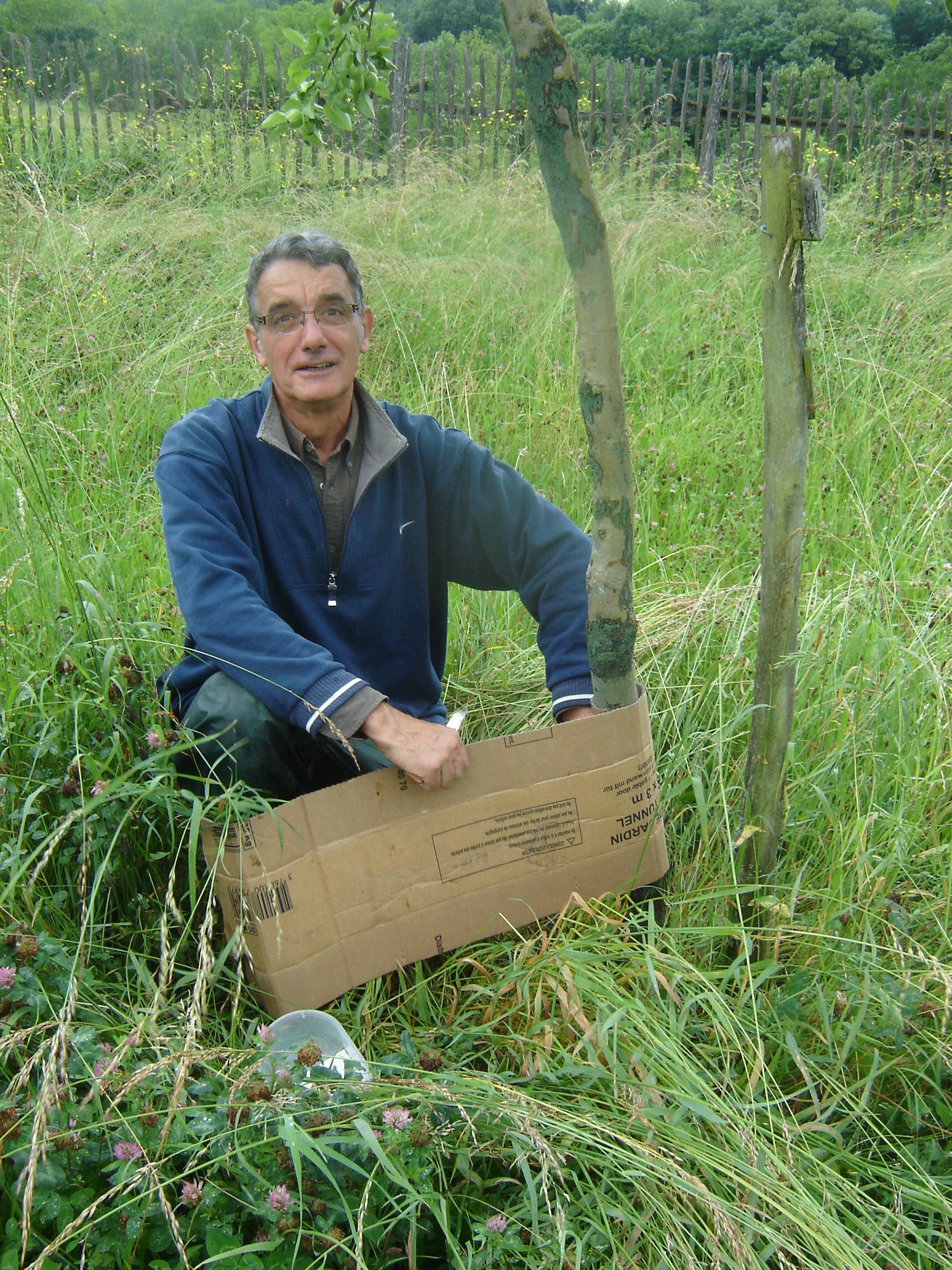 Pose pieges a carpo 3