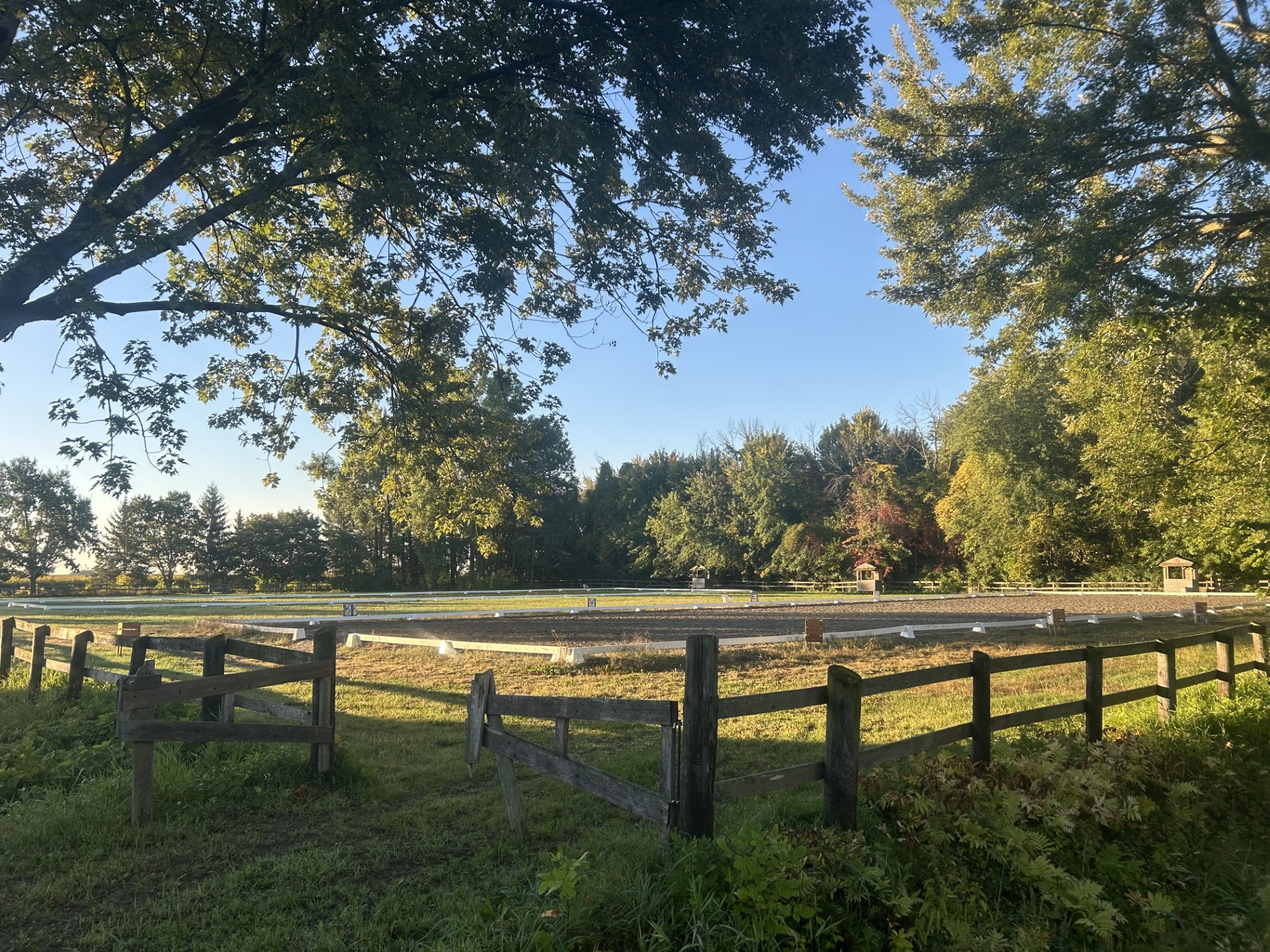 F74fb310 7f08 481f 8122 673222f3528f