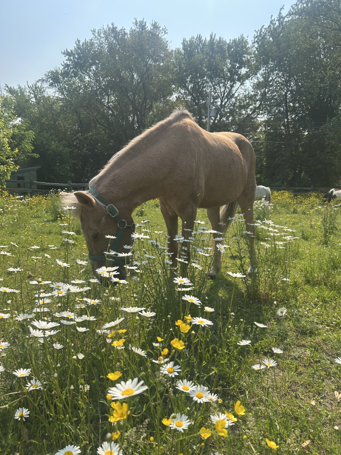 Bbabac35 488b 4064 84f8 159492be9bd0