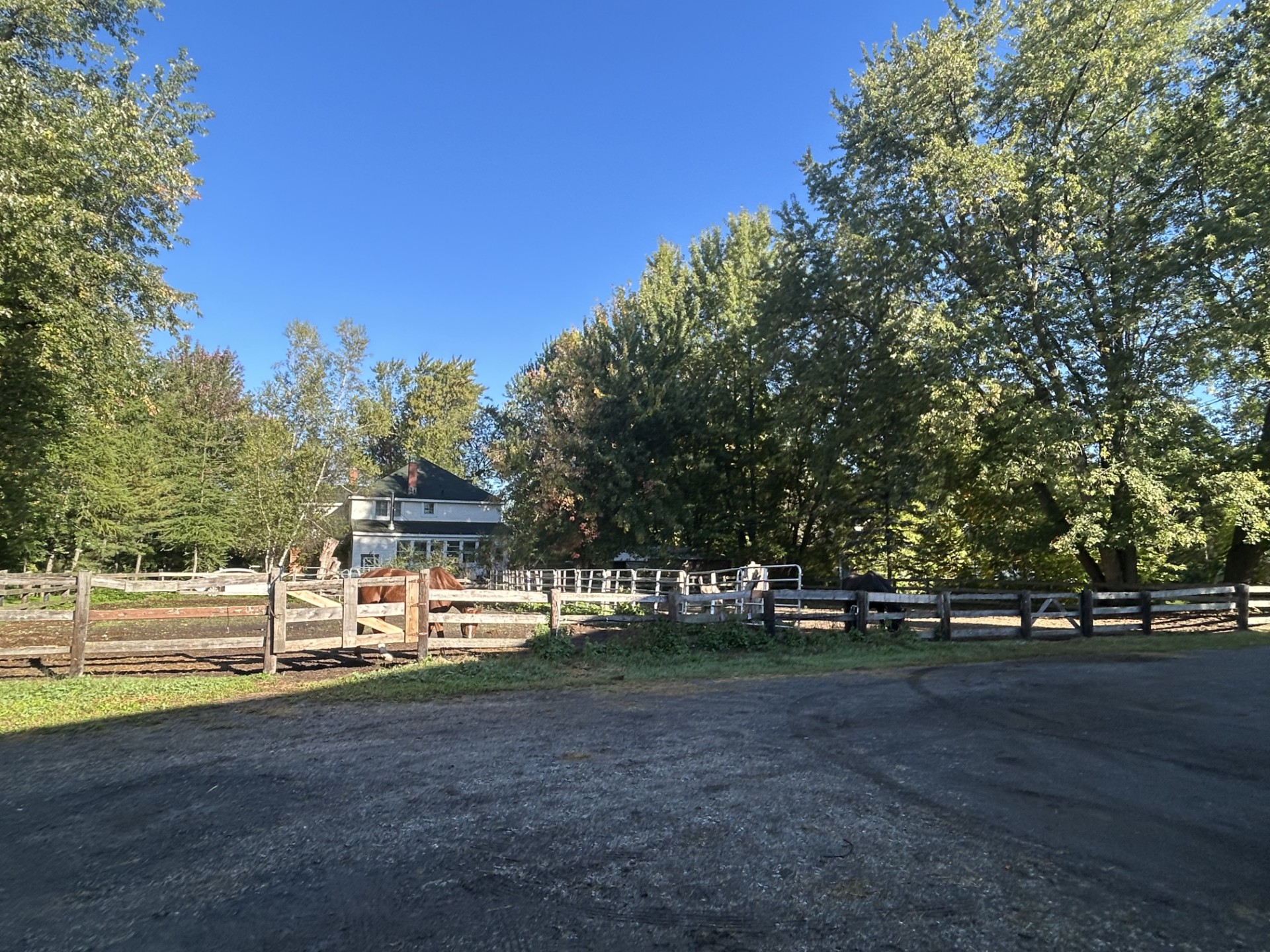 5017131b 1268 47a2 9d1a 9e62dc1a2400