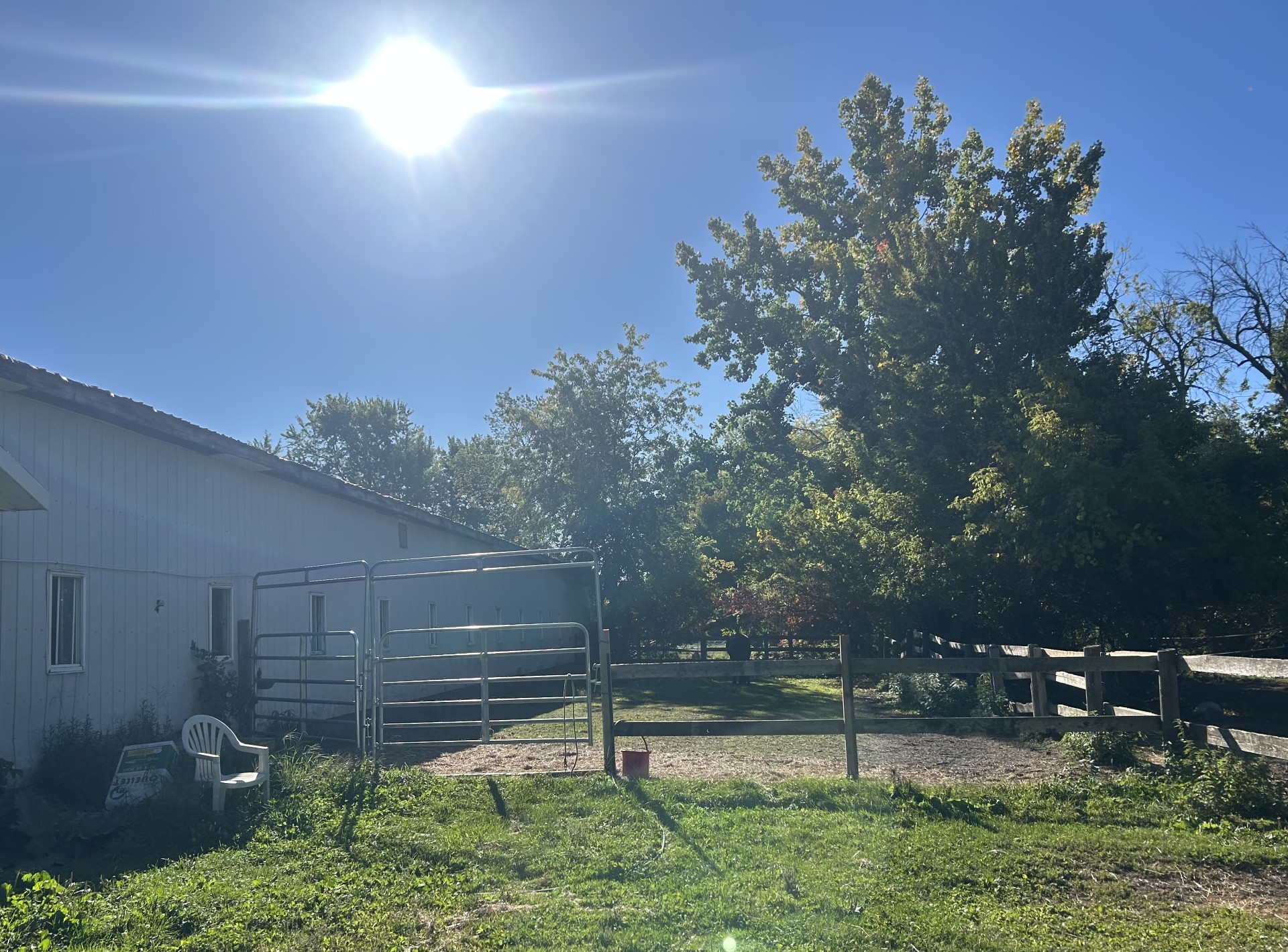 981b12b5 198b 404e bc0d 98a78550641e