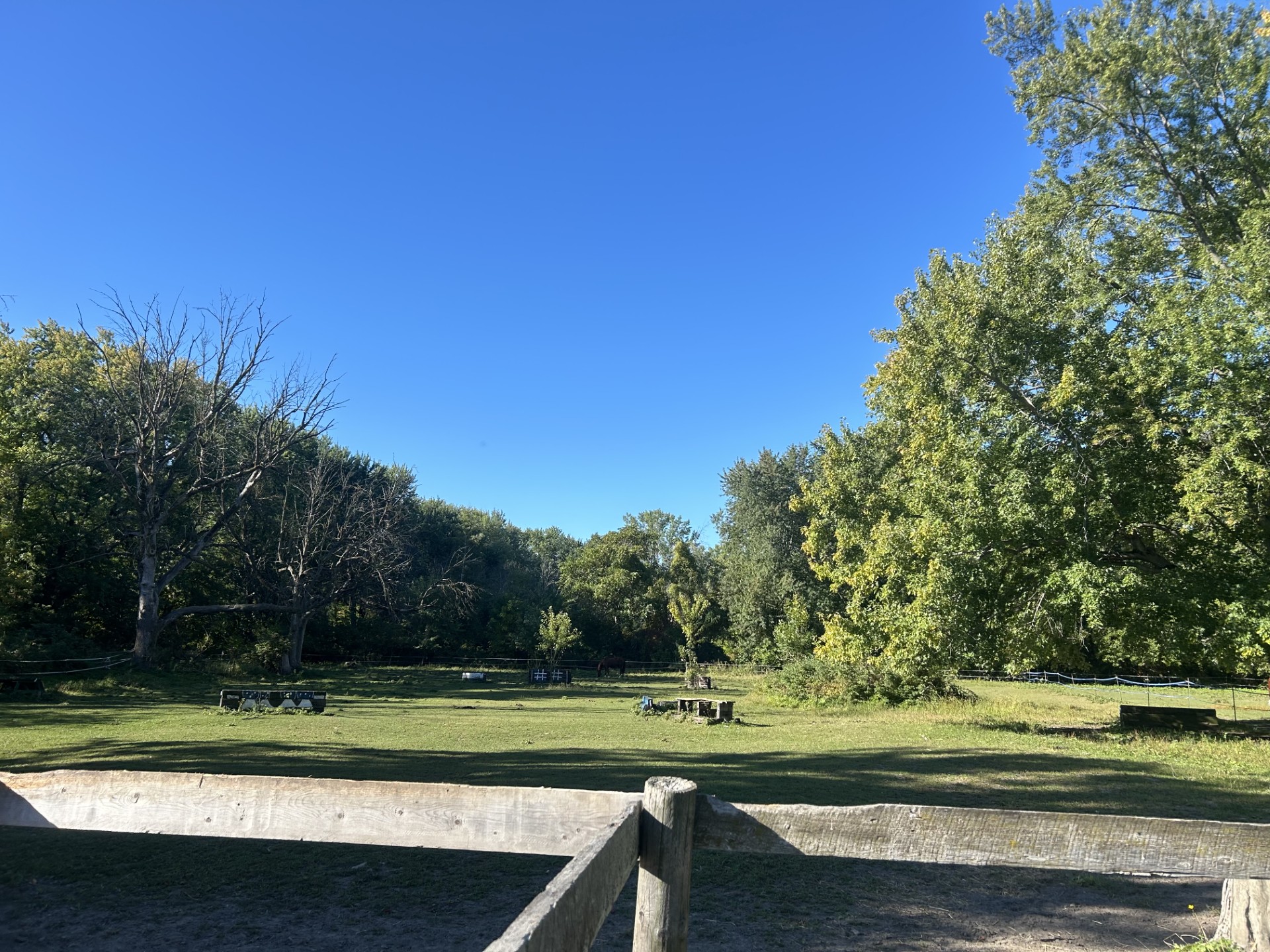 99b781c4 a32b 4ae9 a215 450b4dac24d7