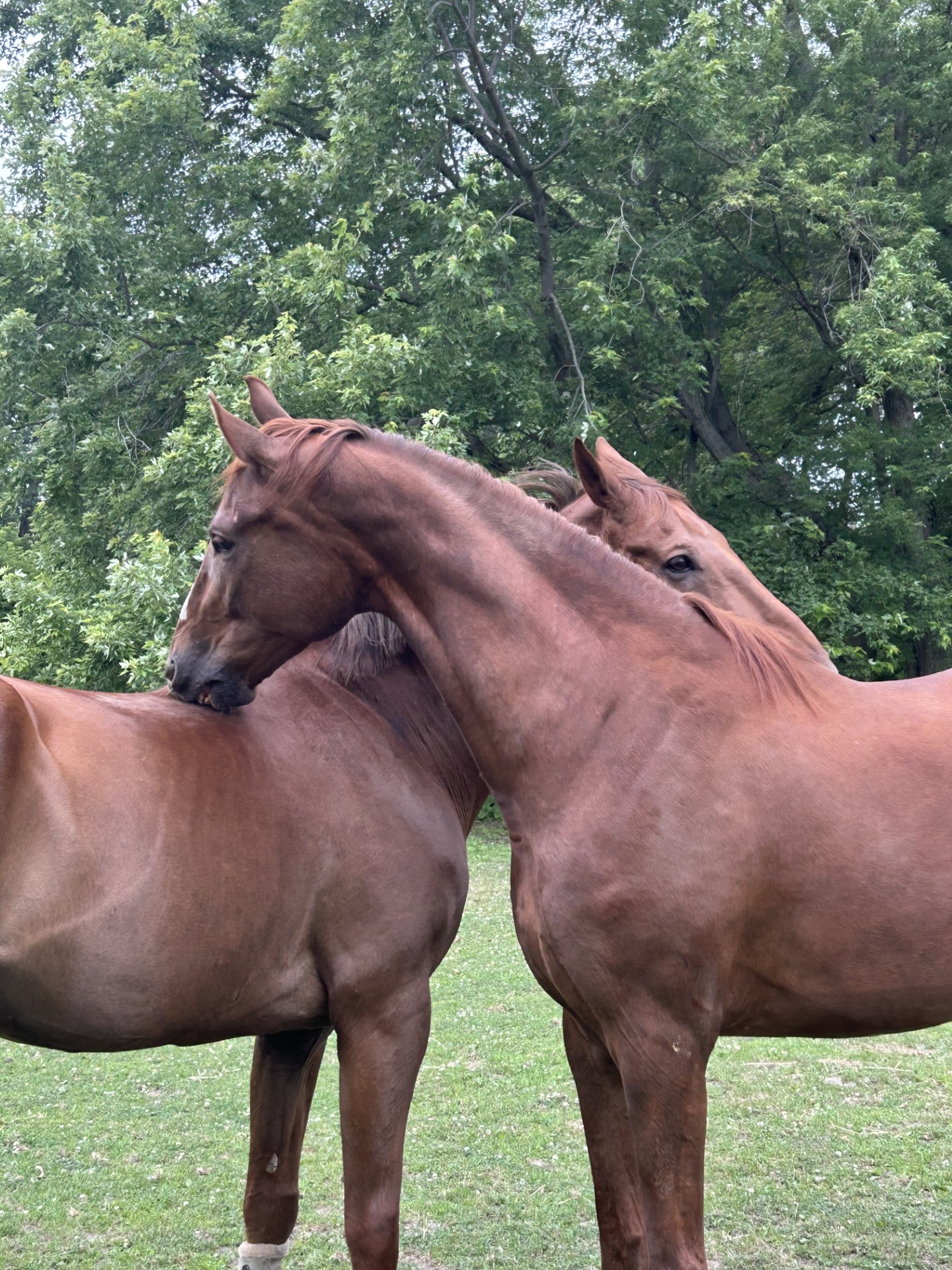 0ea6db68 e35e 48c0 902a 30135e3cd054