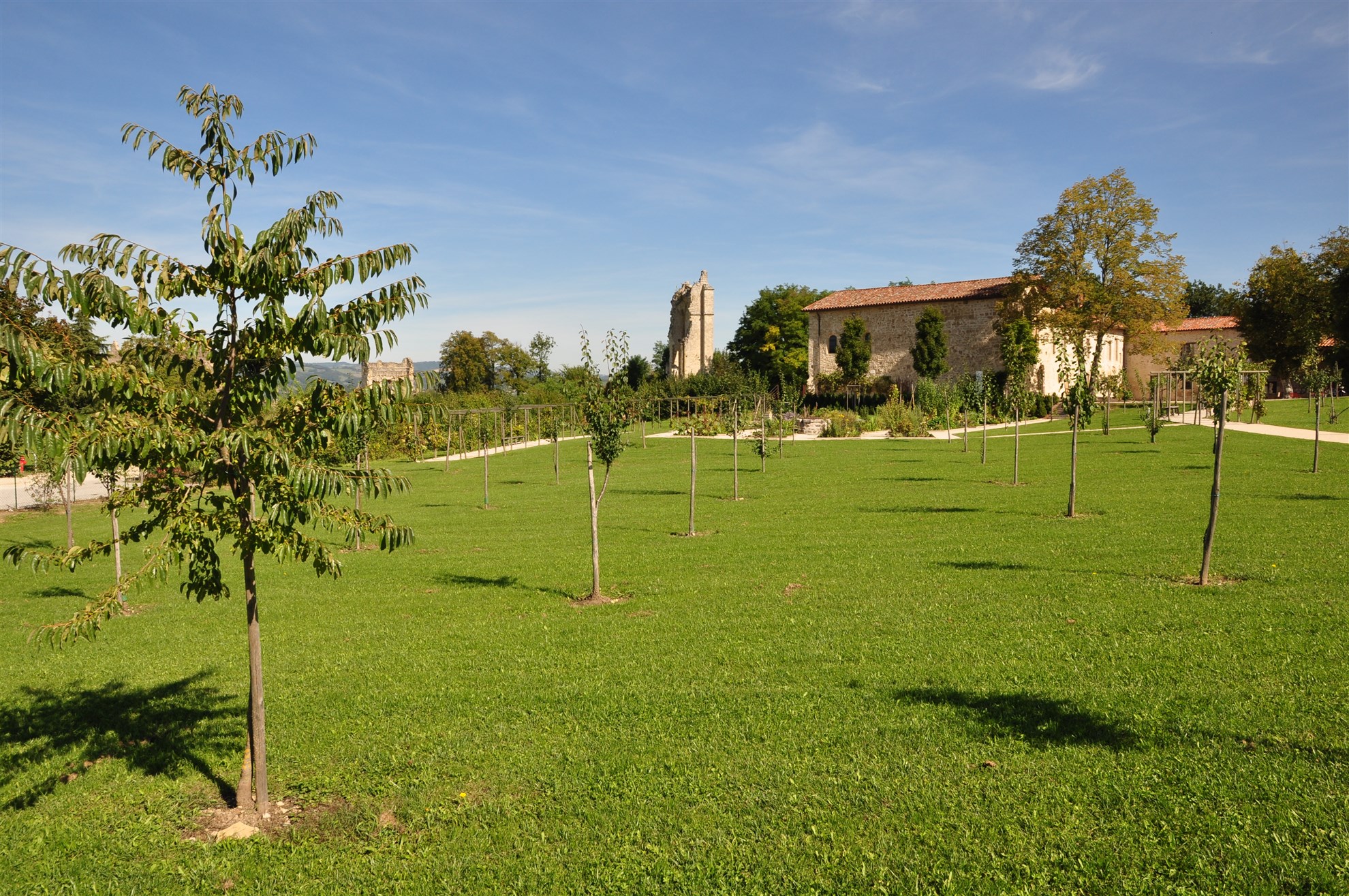 Le-petit-verger