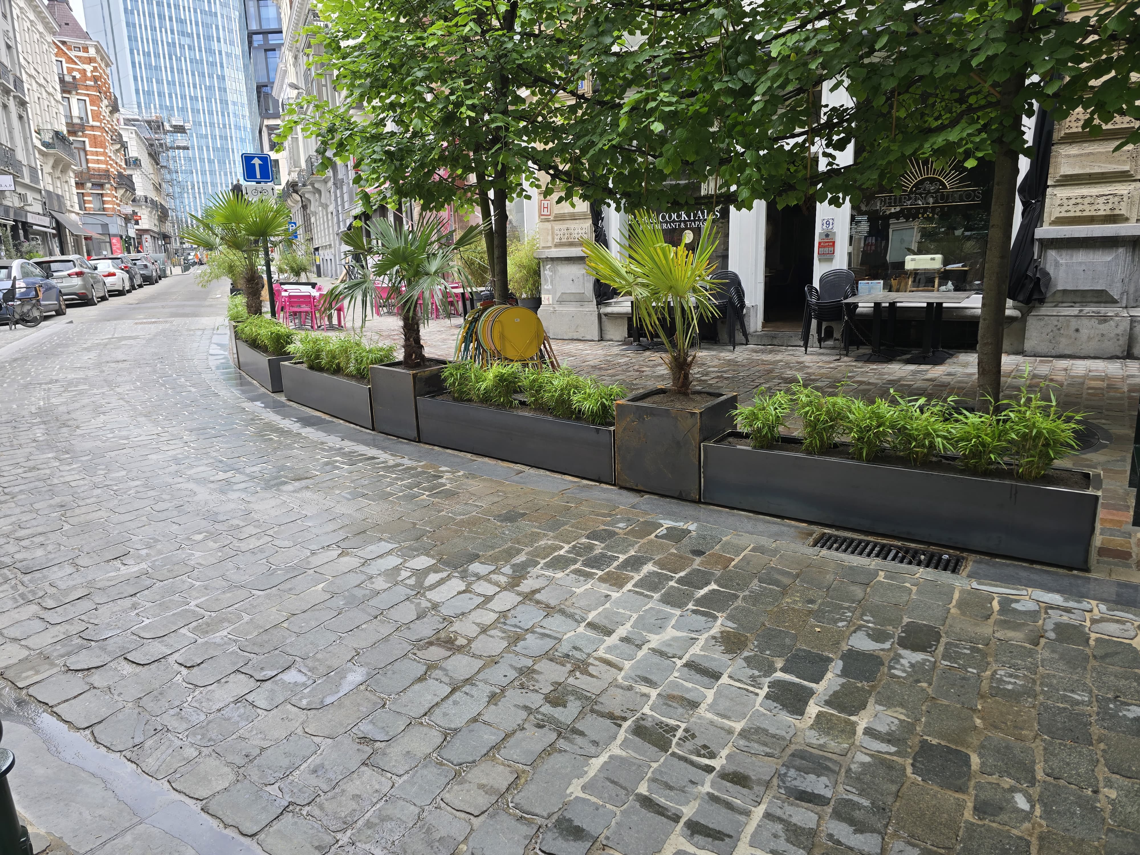 terrasse, pots, plantes, palmiers 