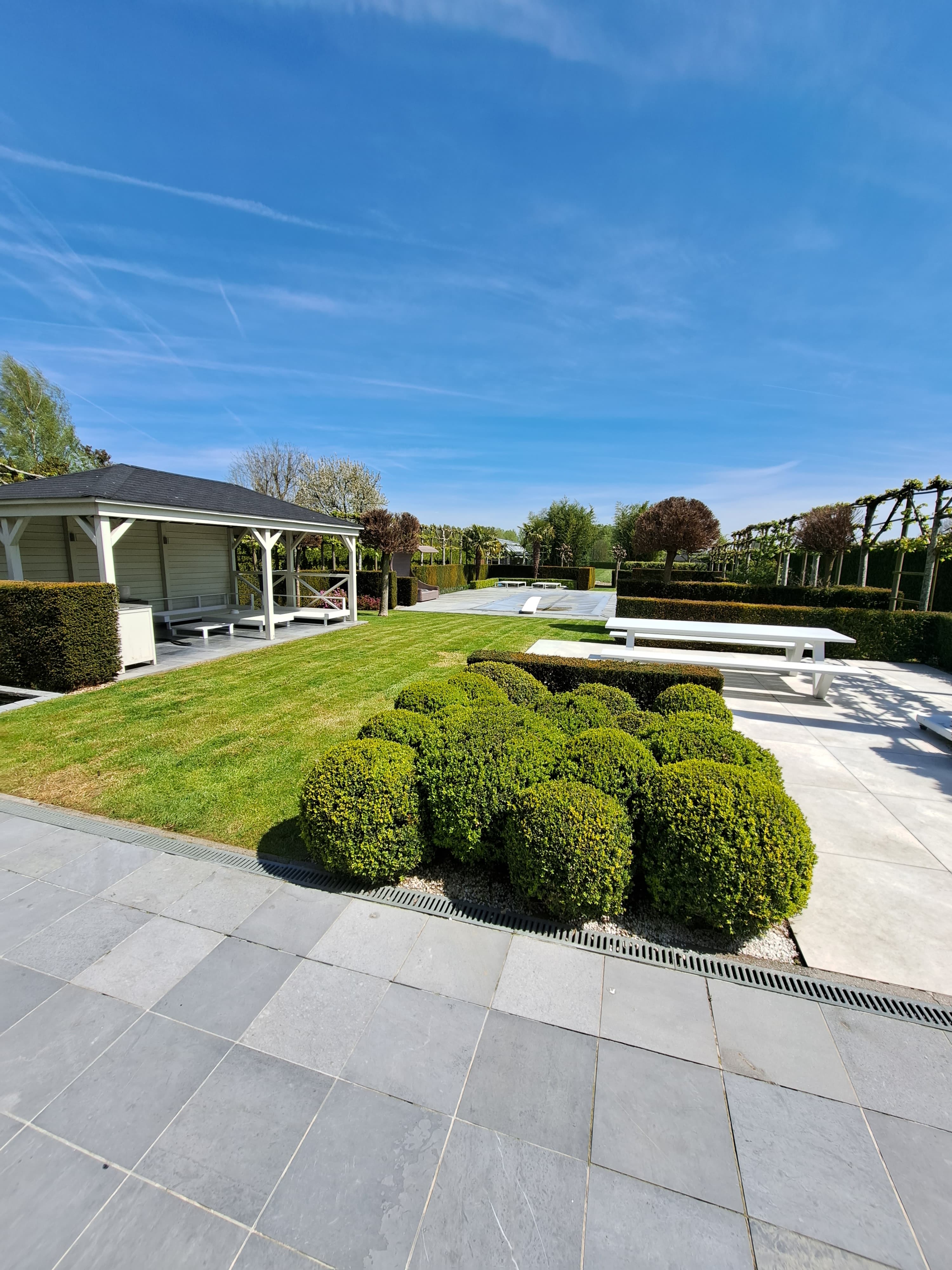 entretien, buissons, gazon