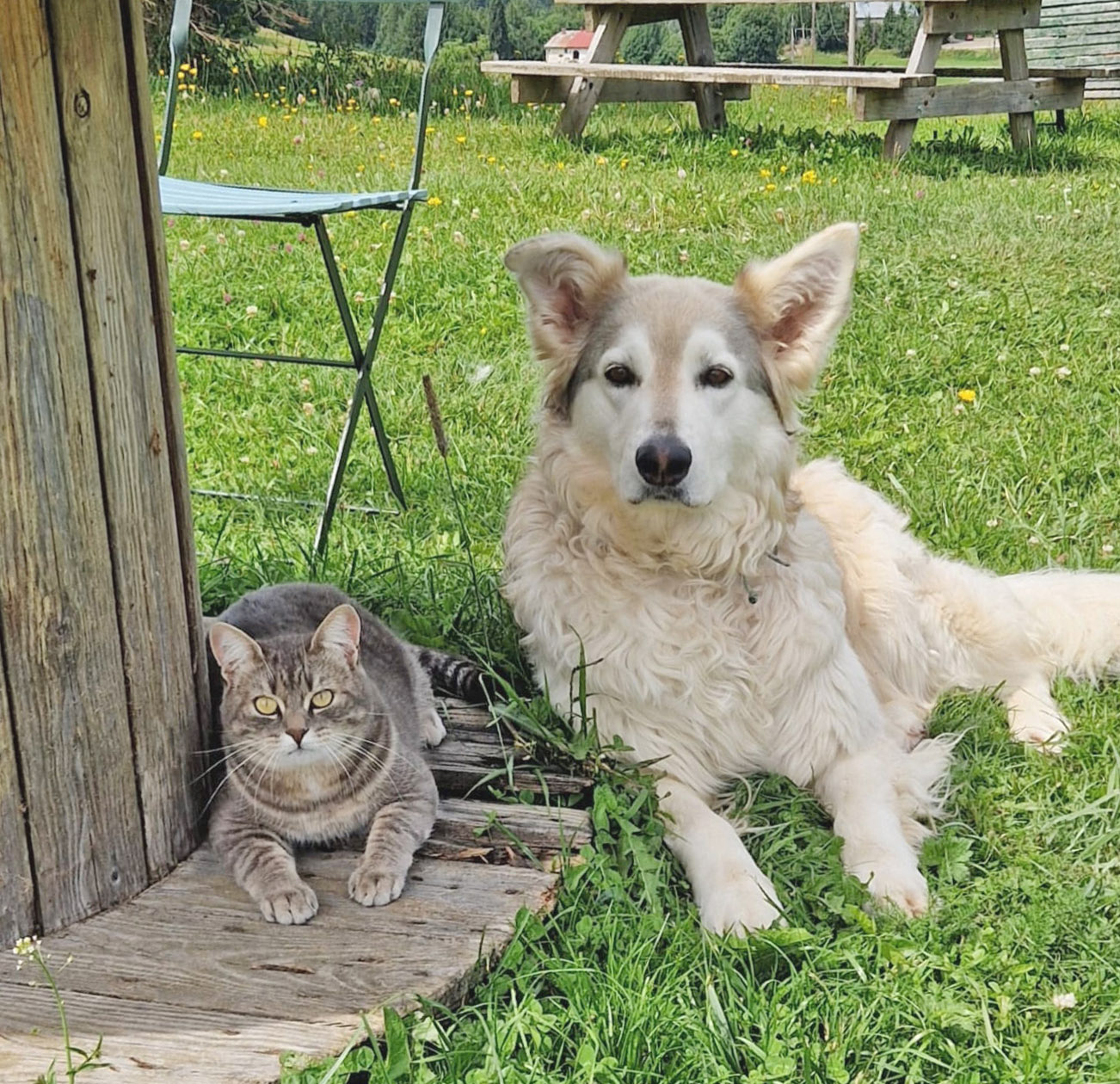 PHOTO-2026-03-13-16-10-11-4