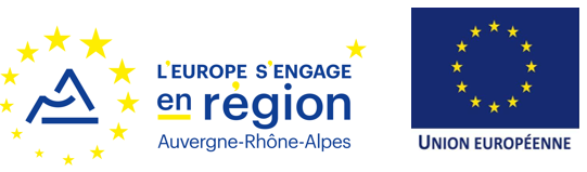 Europe 2017 logo-feder-fse