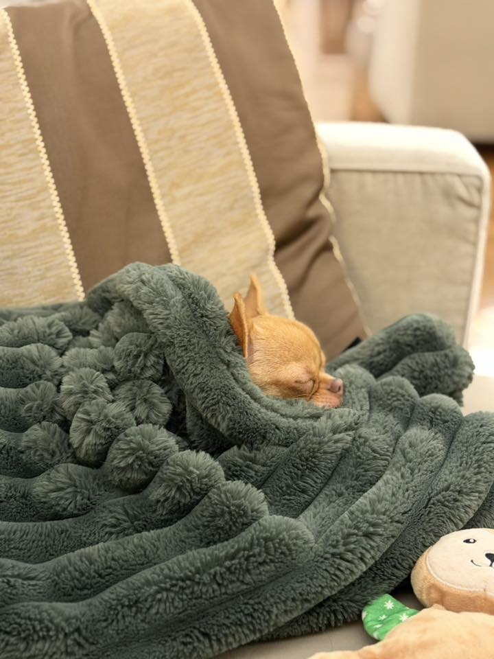 652324118 122260194194148021 7699842412202303080 n