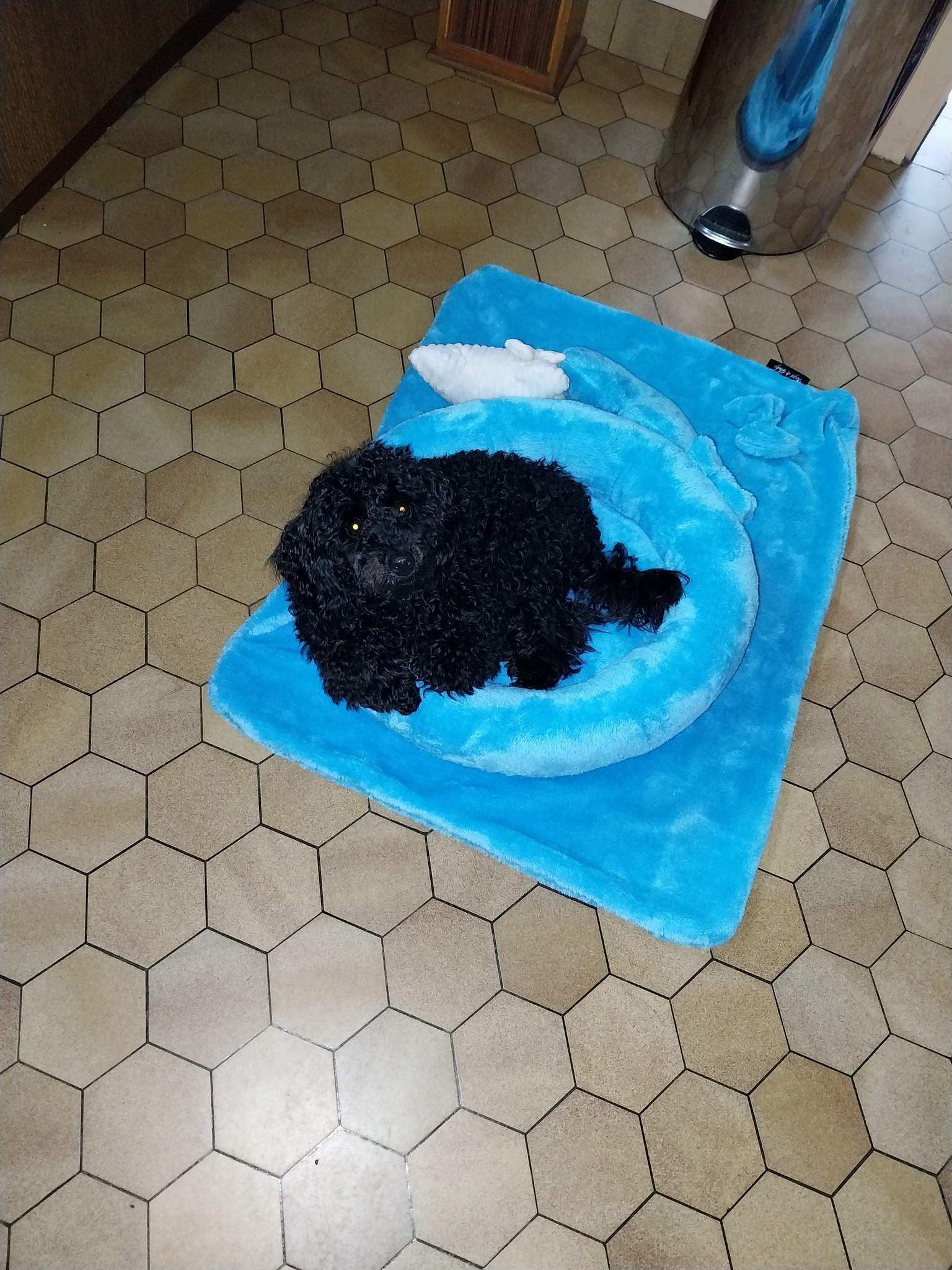 651798114 10214684530302850 5411660000033405571 n