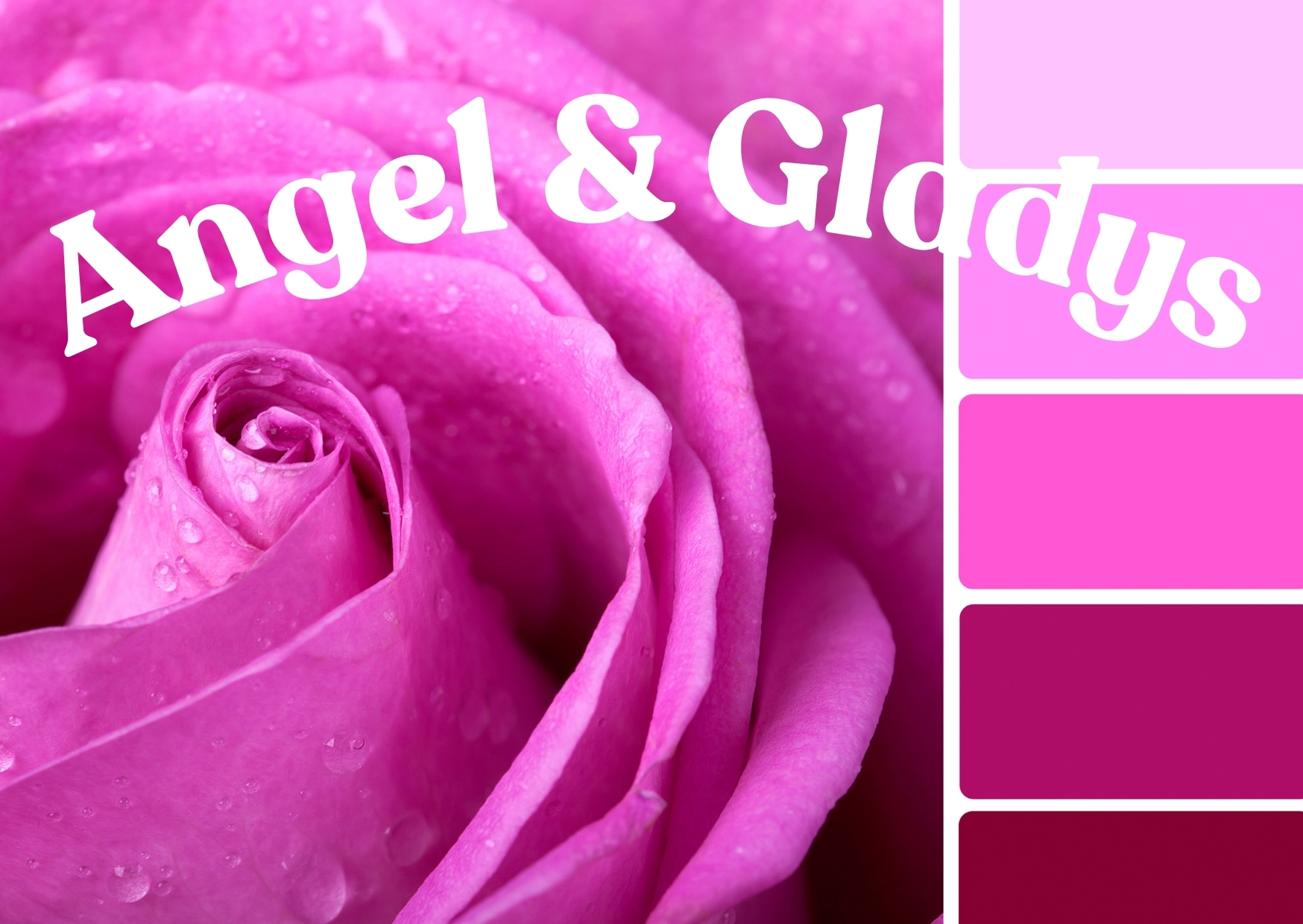 Les Créations Roses