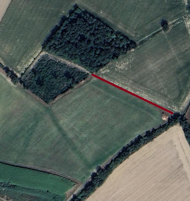 mercredi 25 mars à Lapeyrouse (01) - Dernière plantation !