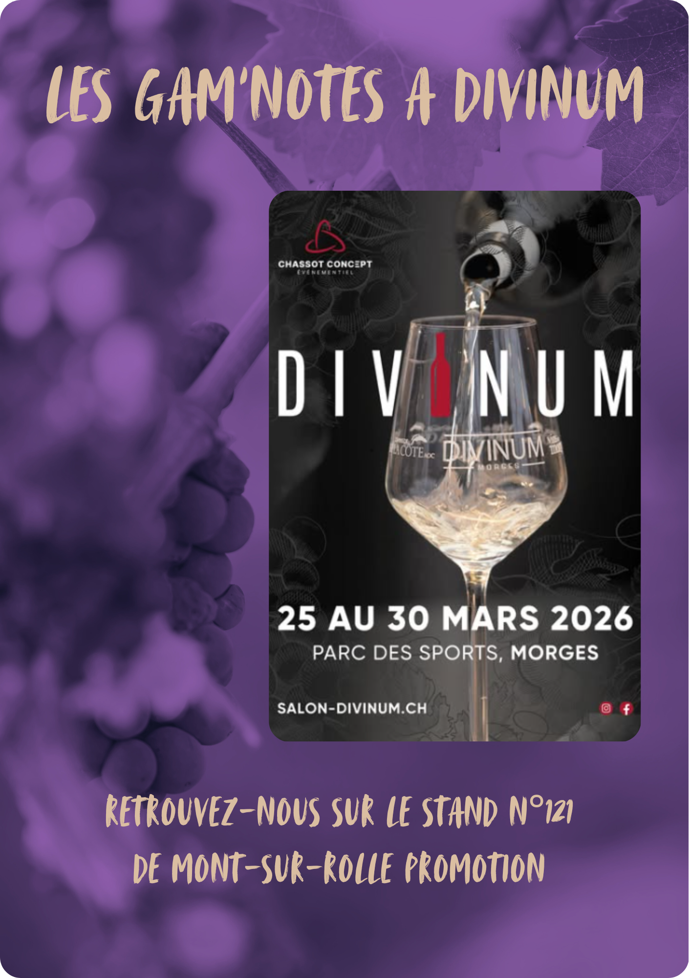 Les-Gam-notes-a-divinum 20260226 090050 0000