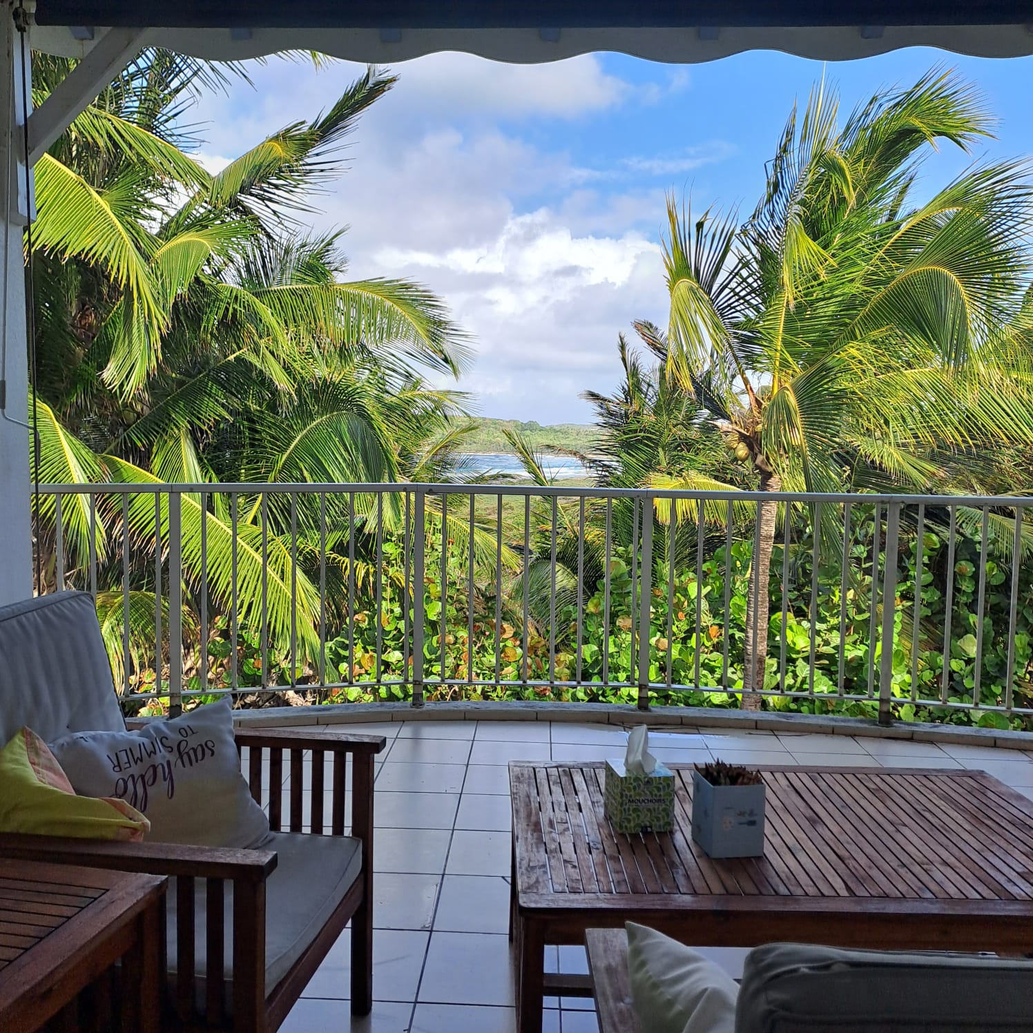 WhatsApp-Image-2026-03-17-at-15-49-29