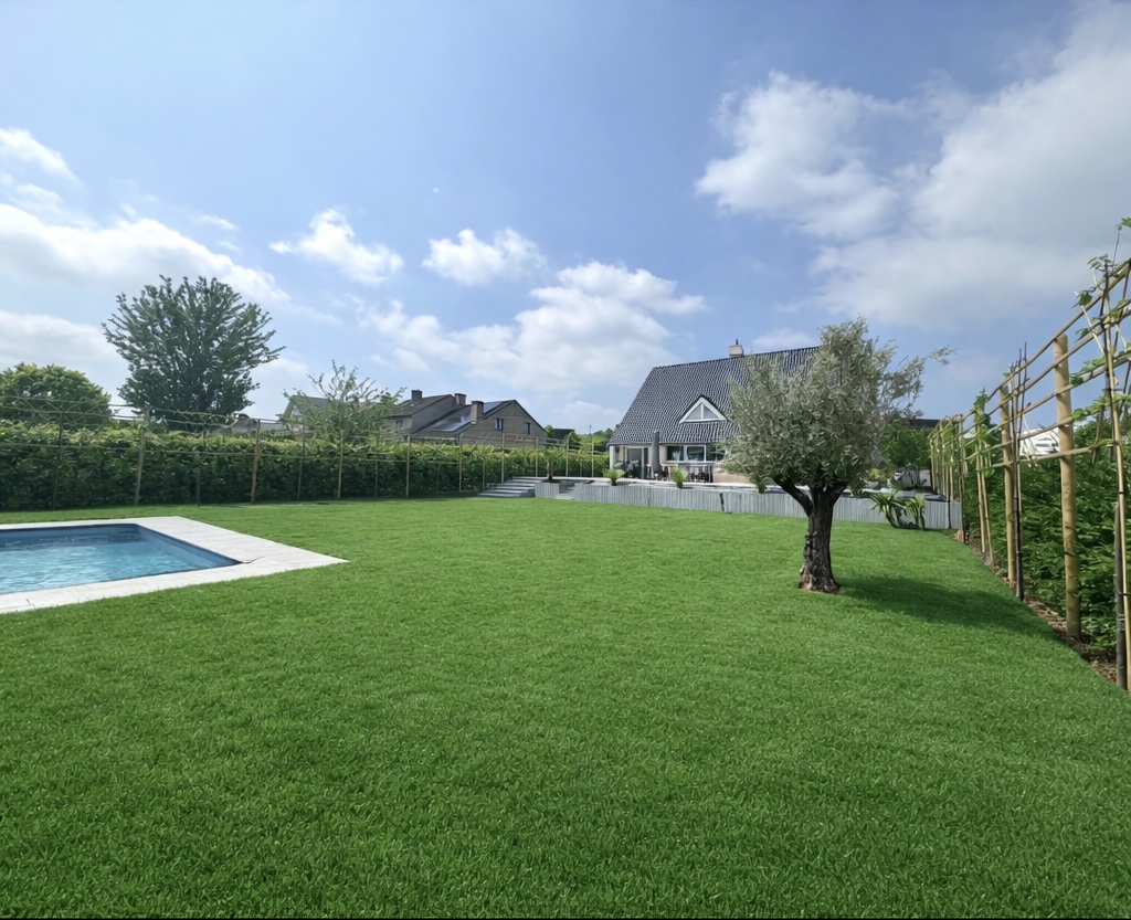 gazon, jardin, piscine