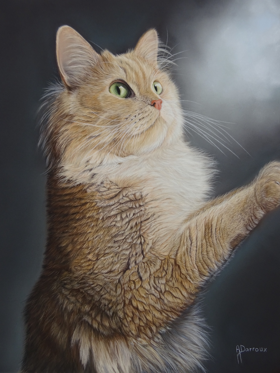 Darroux secrets du monde pastel 54x64 1 