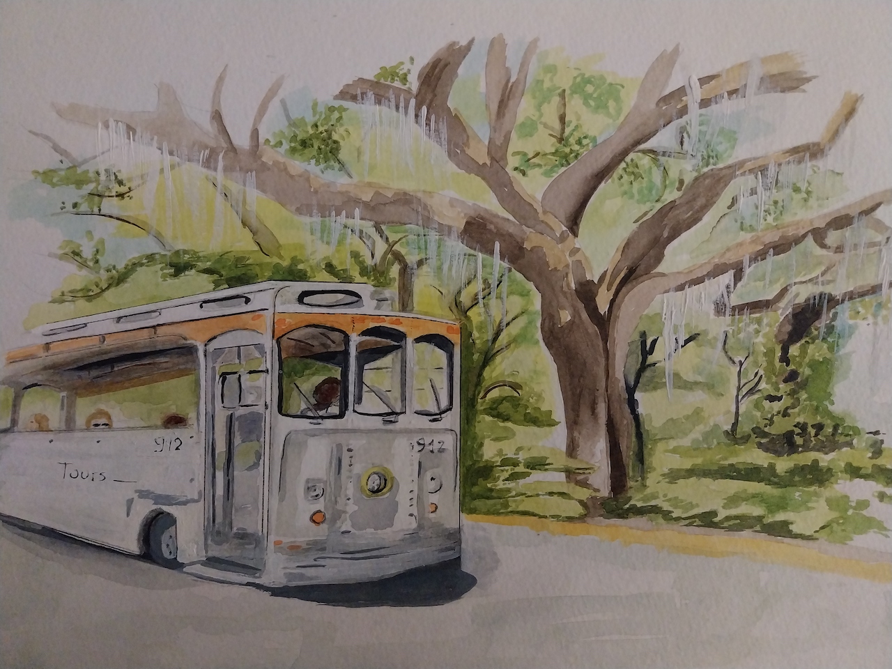 Demoulian savannah dim 40cm 30cm aquarelle