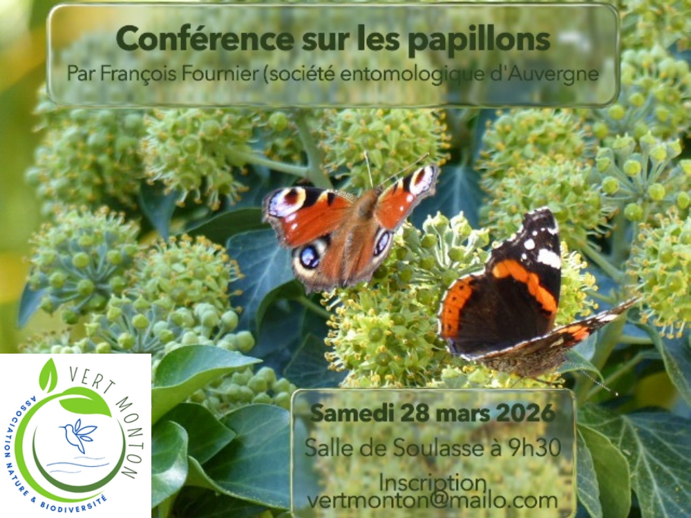 Affiche-papillon-2026-03-28 page-0001