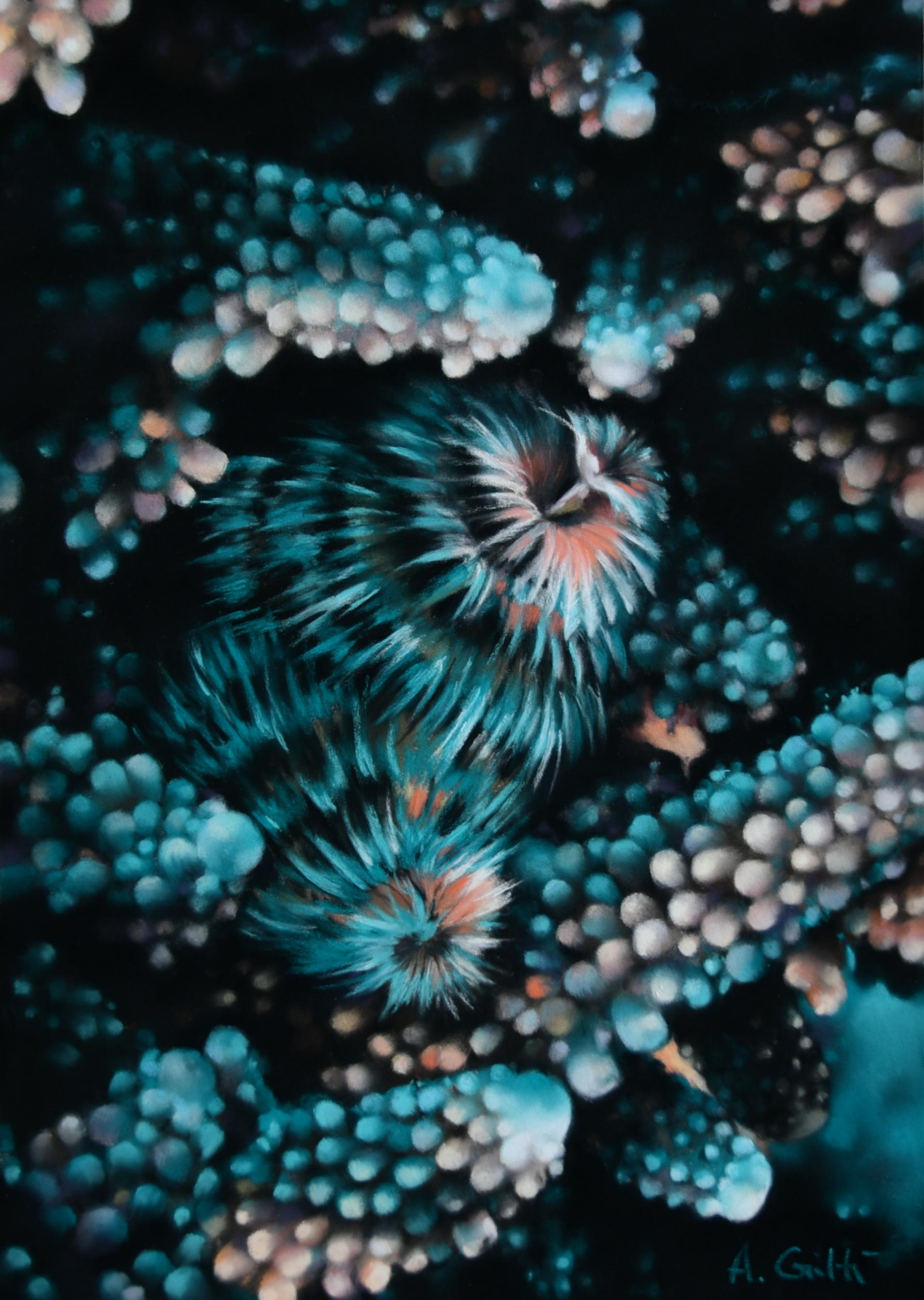 Audrey gritti spirographe 43x33cm