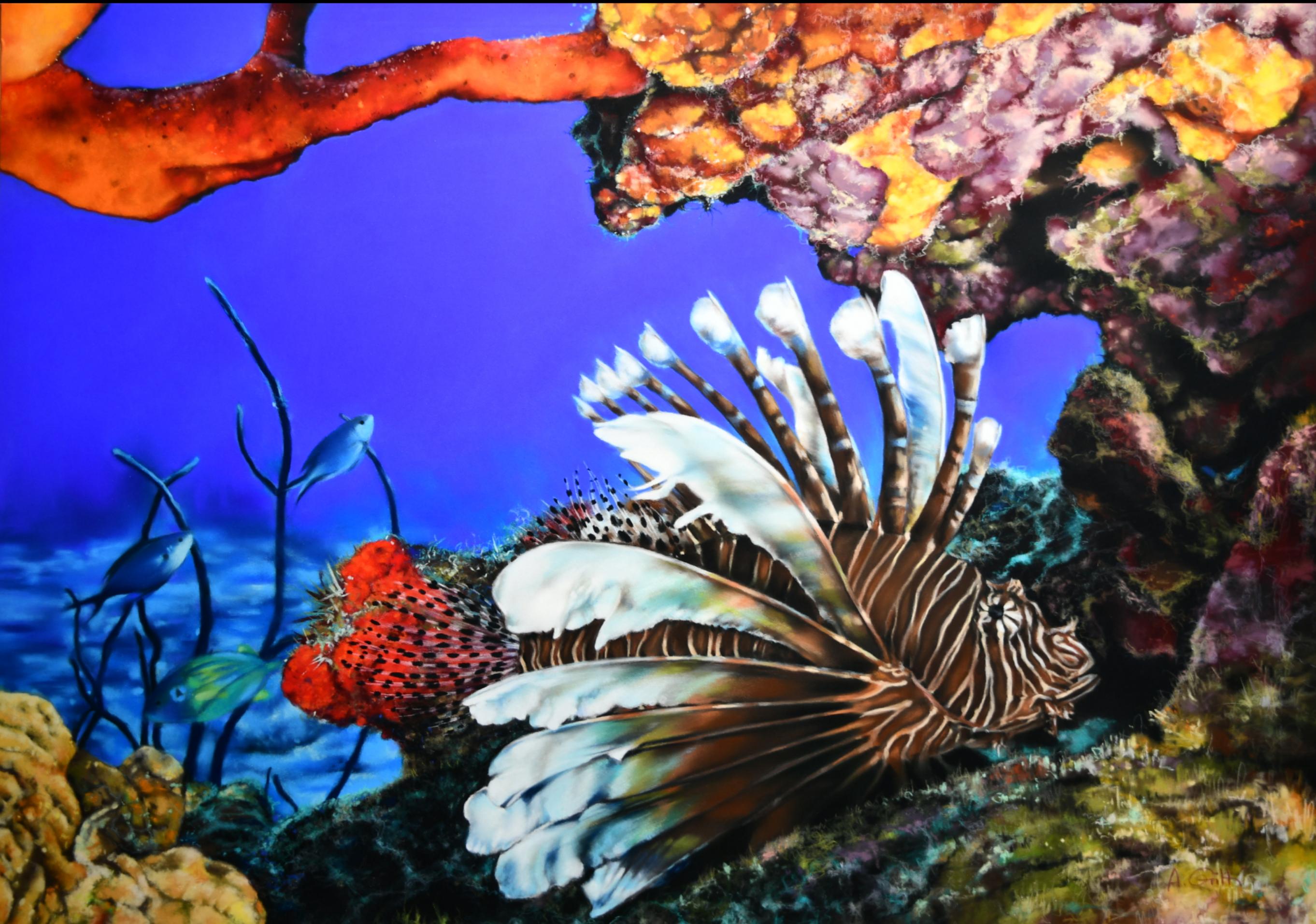 Audrey gritti rascasse volante 63x83cm