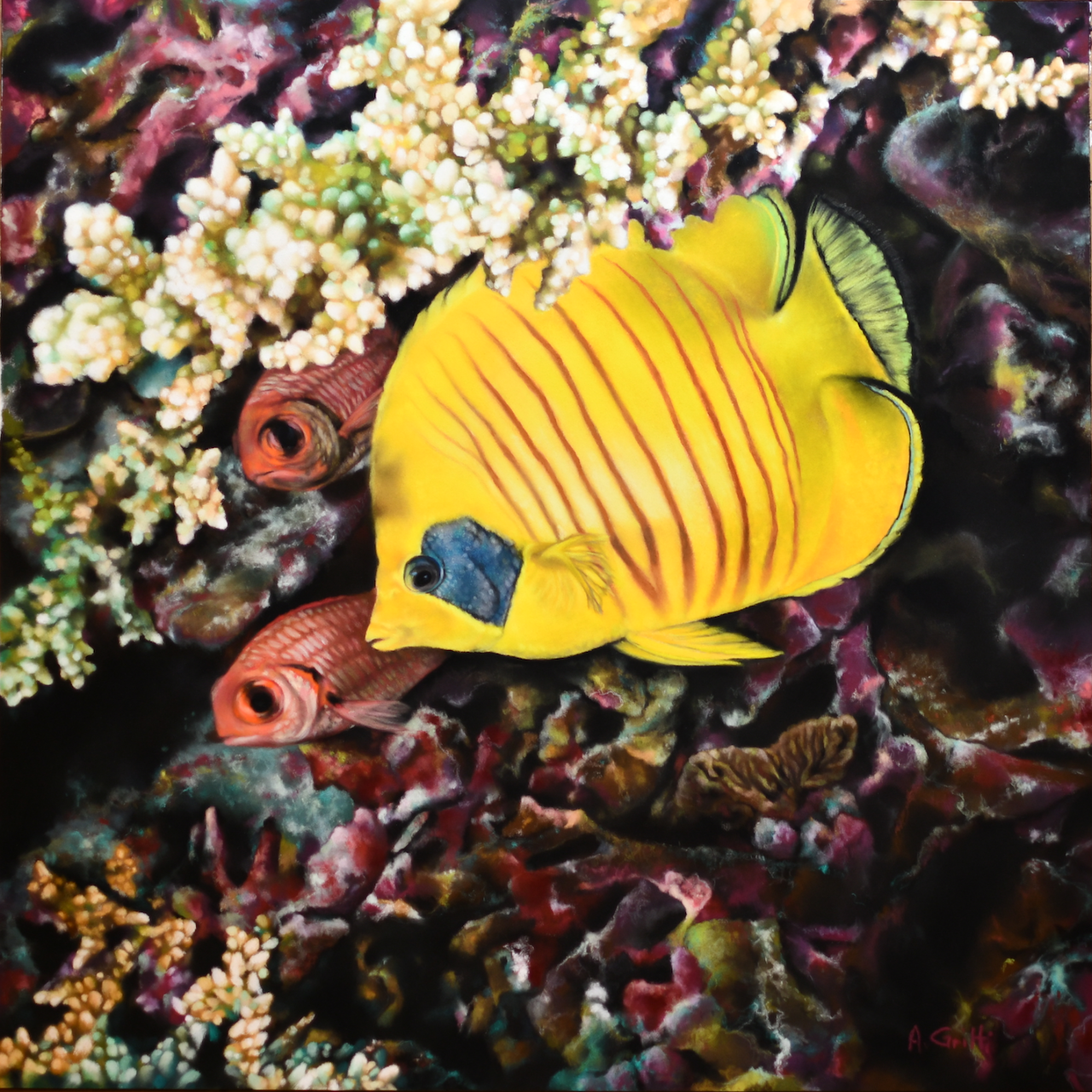 Gritti audrey poisson papillon 50x50cm