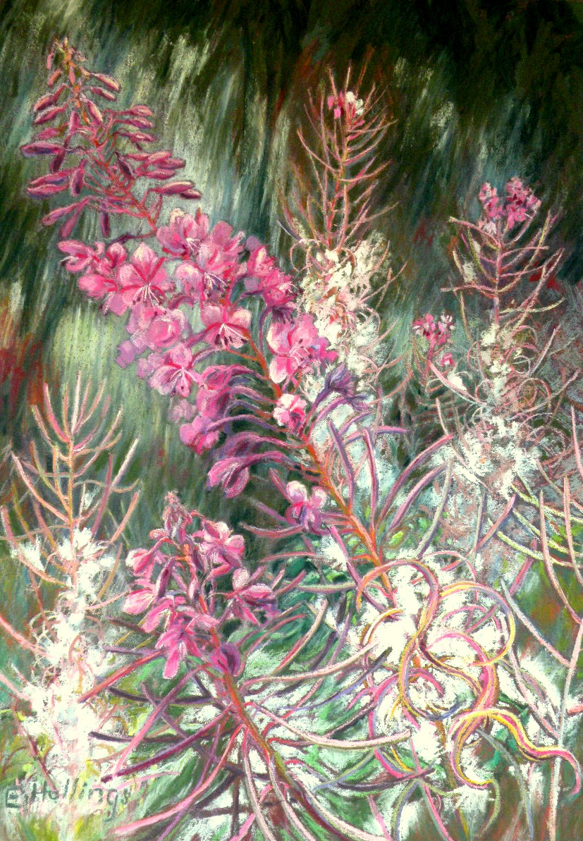 Hollings la clarie re pastel sec 67 x 47 cm