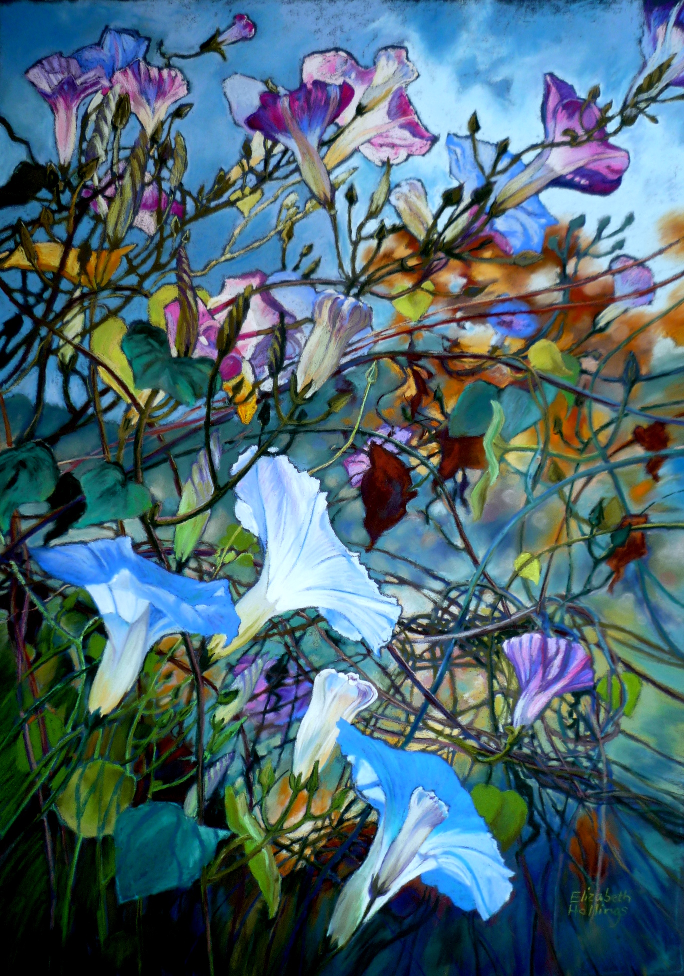 Hollings ipomeas in autumn ppastel sec 67 x 47 cm