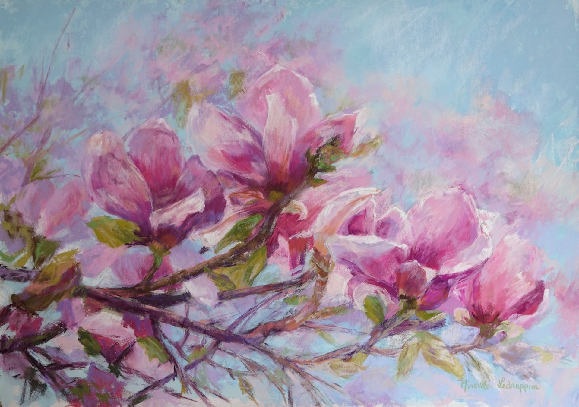 Ledrappier mireille magnoliadebresson pastel 64x84
