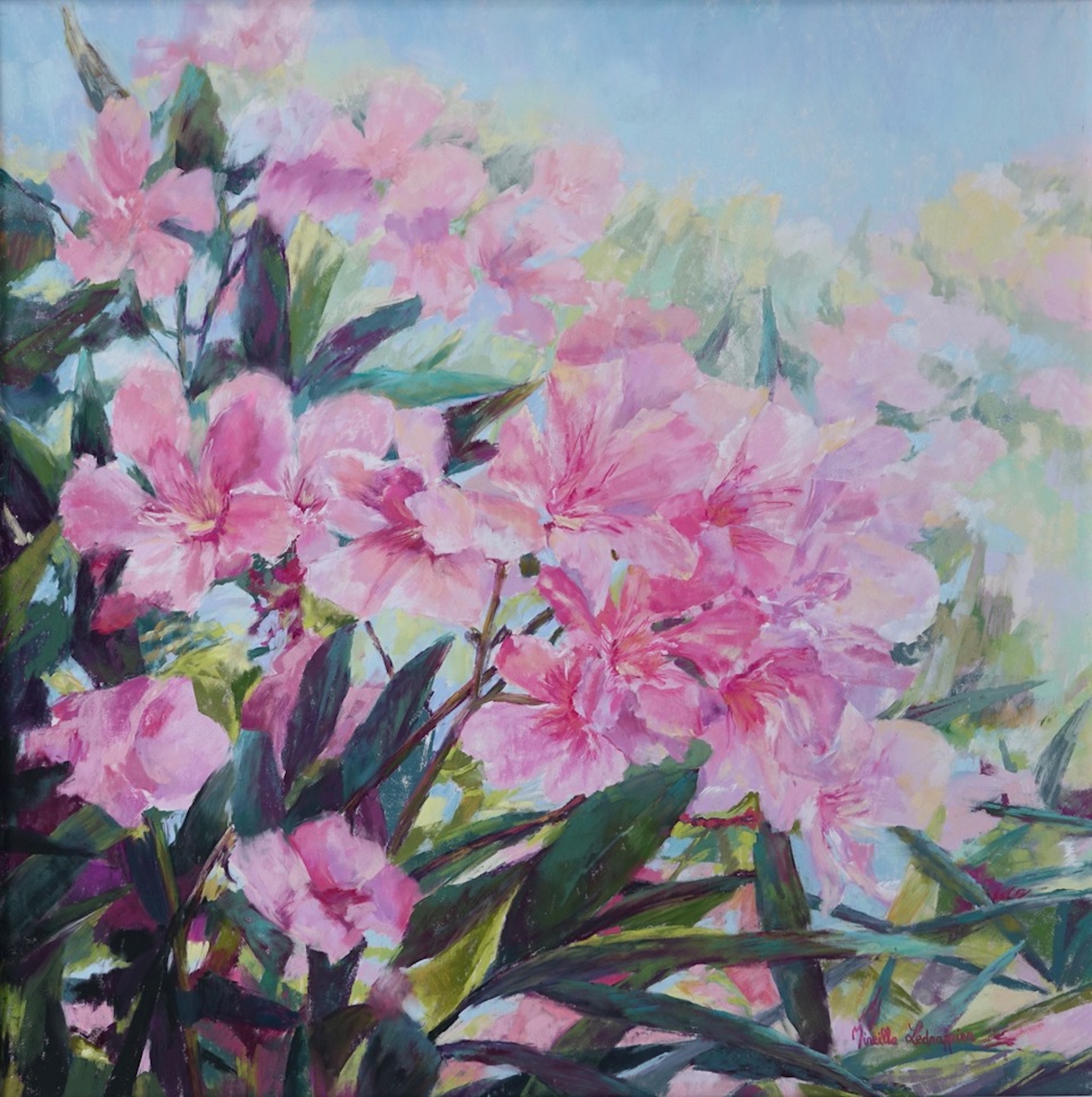 Ledrappier mireille laurierrose pastel 74x74