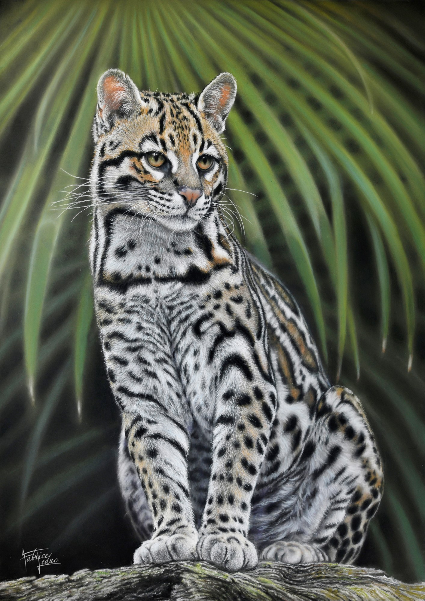 Leduc le visiteur du soir pantanal pastel sec 50x70cm