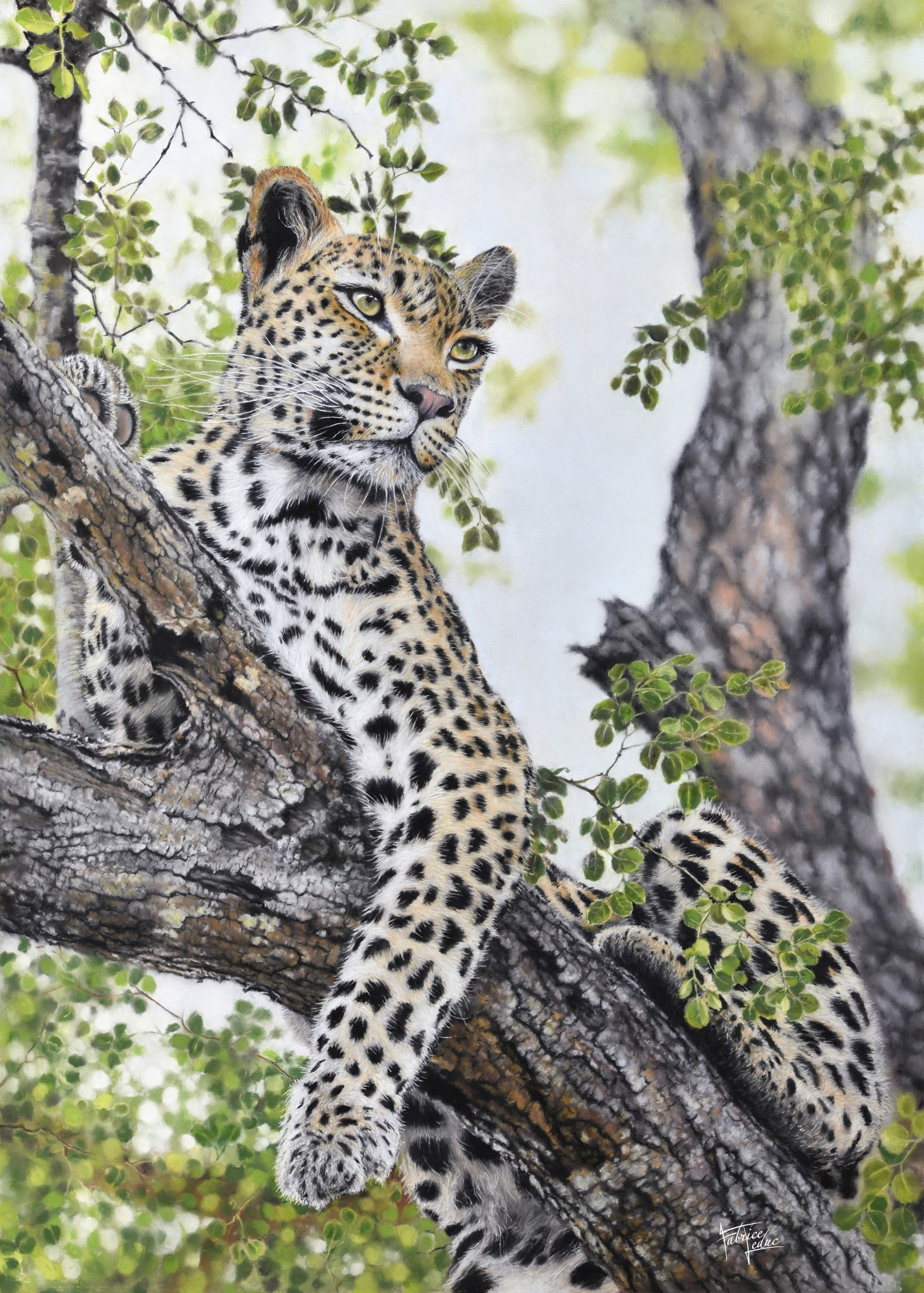 Leduc chat perche kruger pastel sec 50x70cm