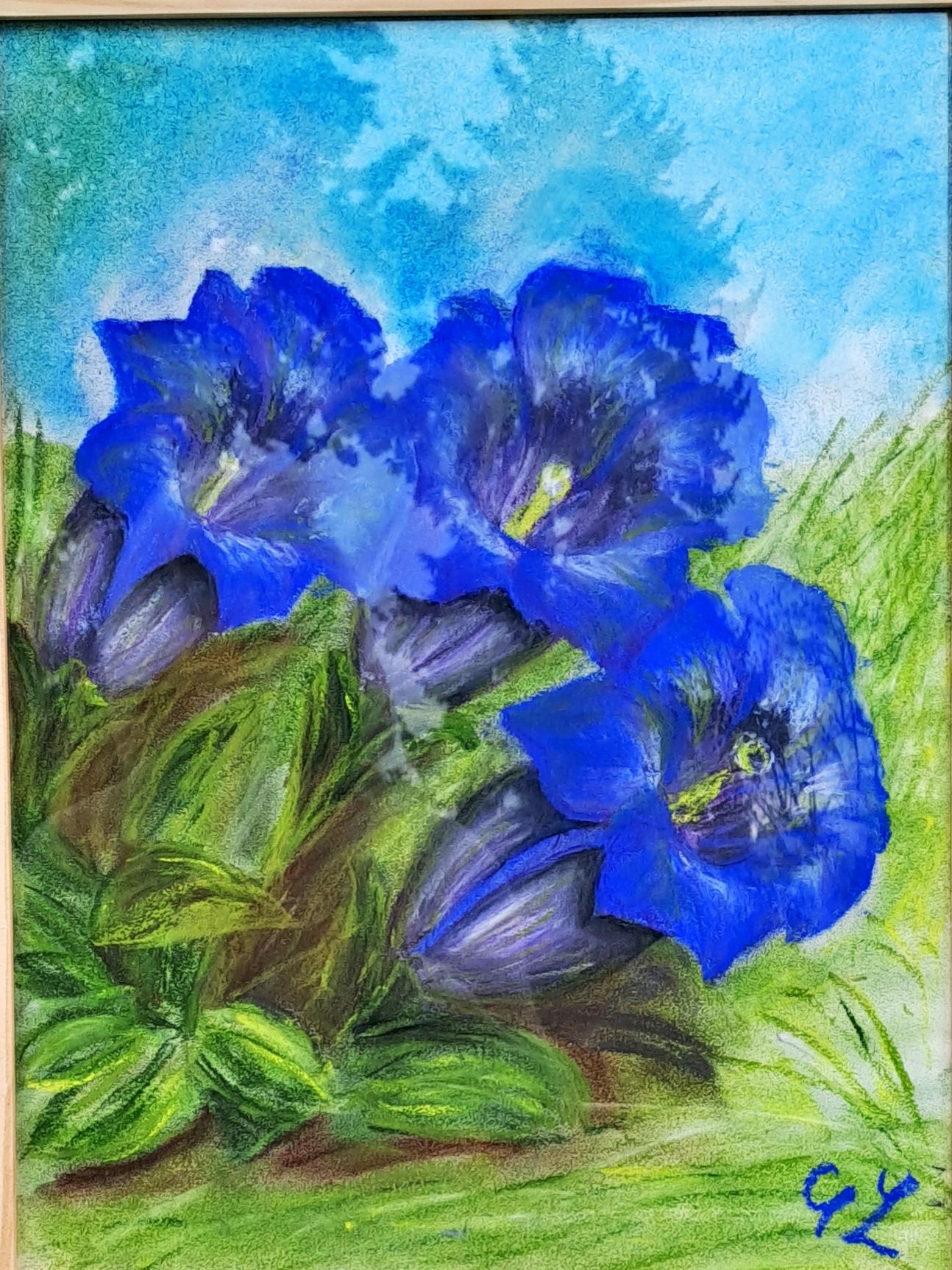 Luchesi gentianes de koch pastel sec 30x40