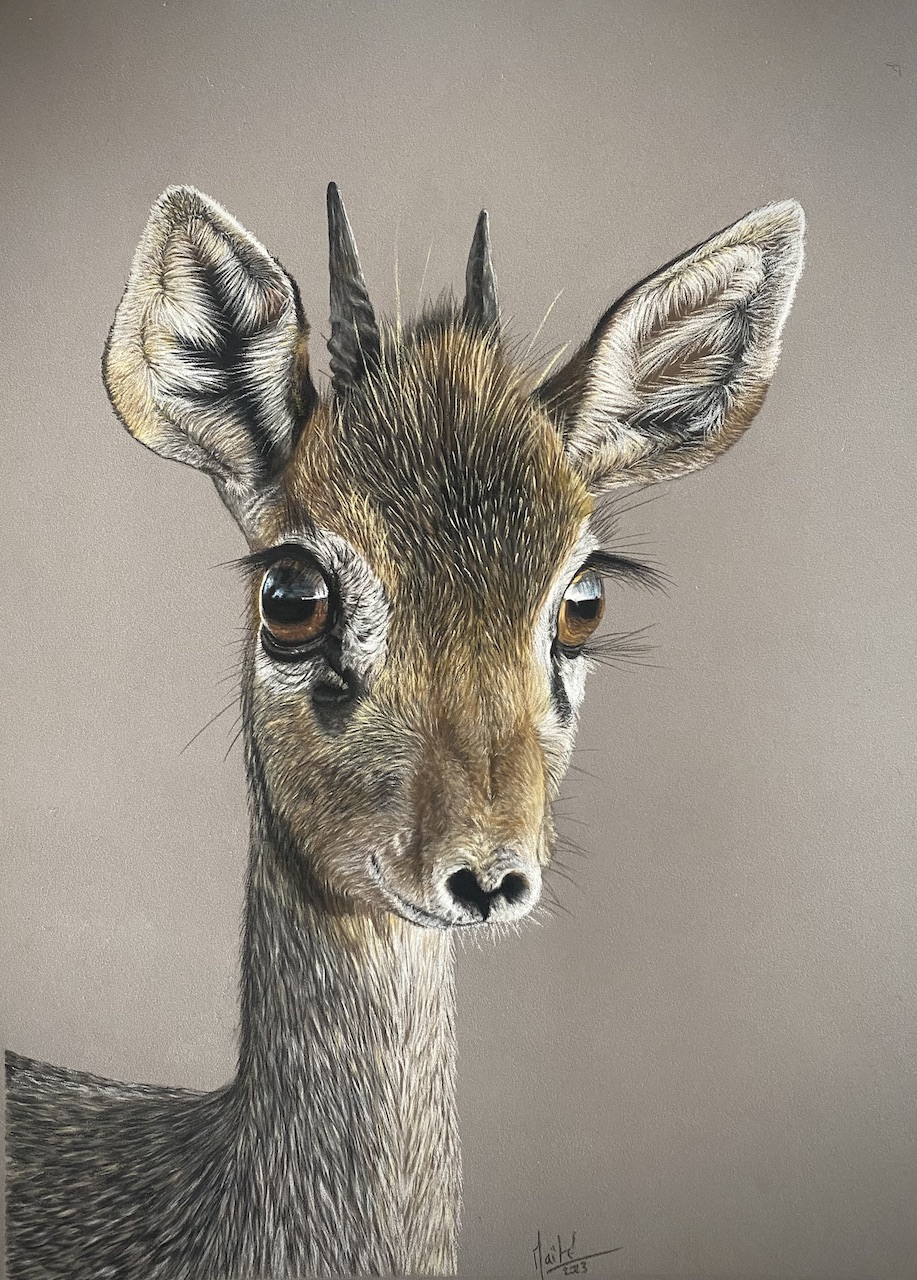 Poucheret 1 image0 1 