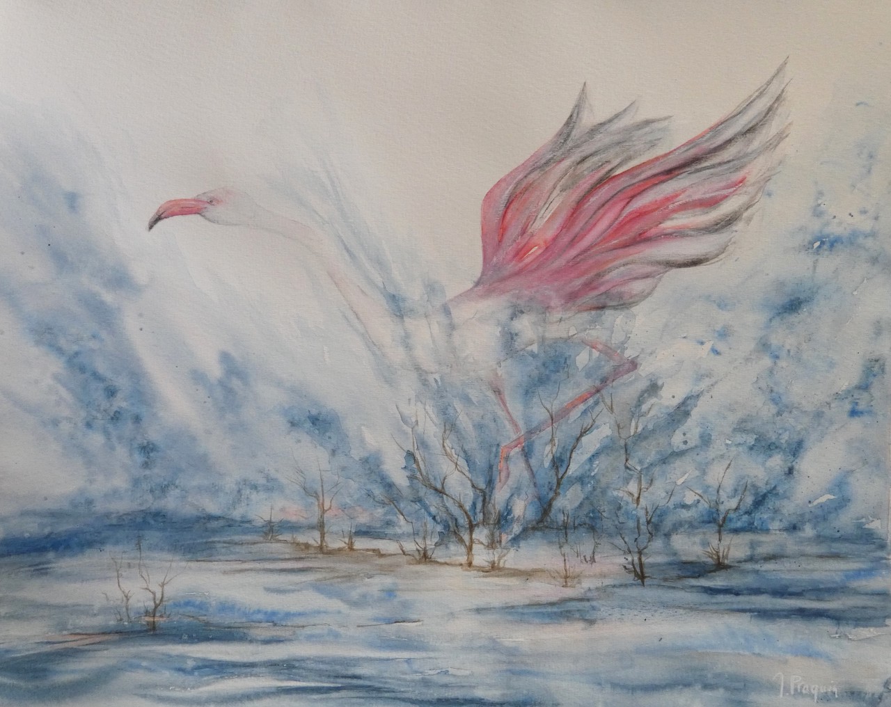 Praquin envol envol aquarelle 50 x 40