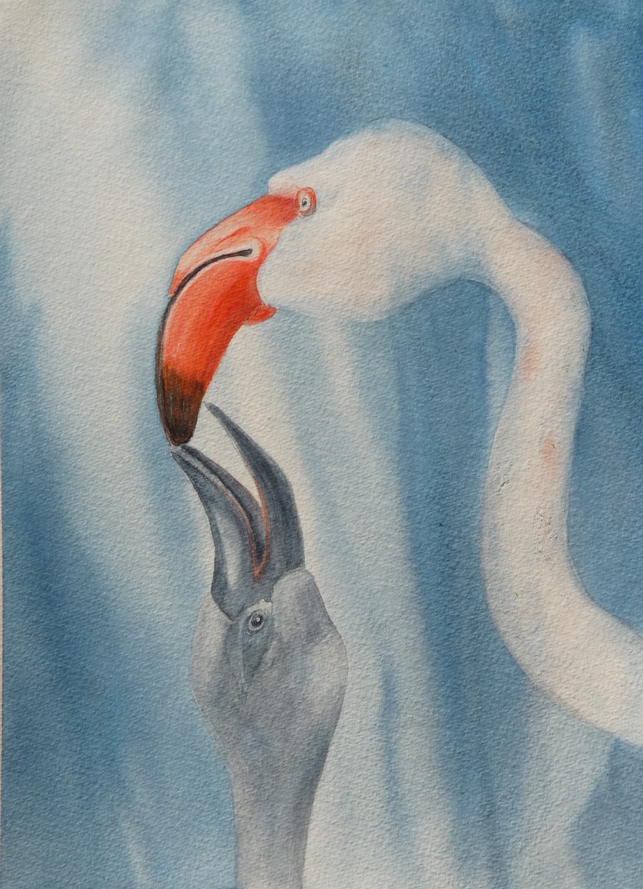 Praquin attachement 2