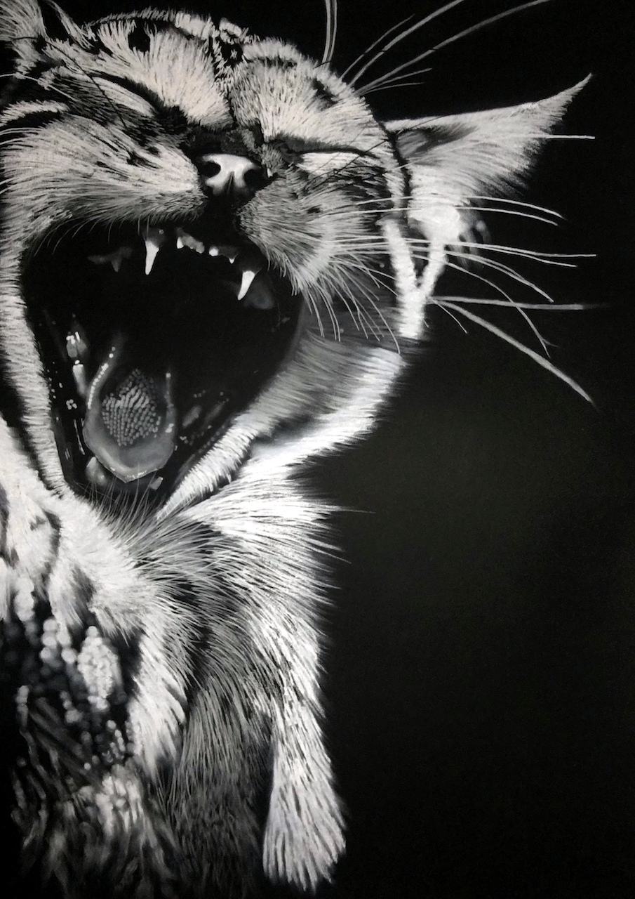 Wolf sculpturepeinturedessin animal bimouth wolff pascal artiste animalier contemporain