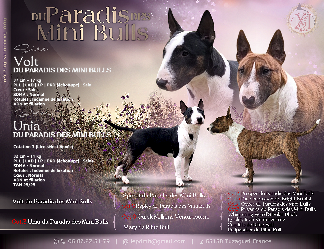 Volt-x-Unia-mating-and-pedigree-2-1-