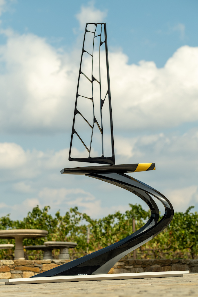 Delselme le voilier libellule carbone fibredeverre h265xp57xl150