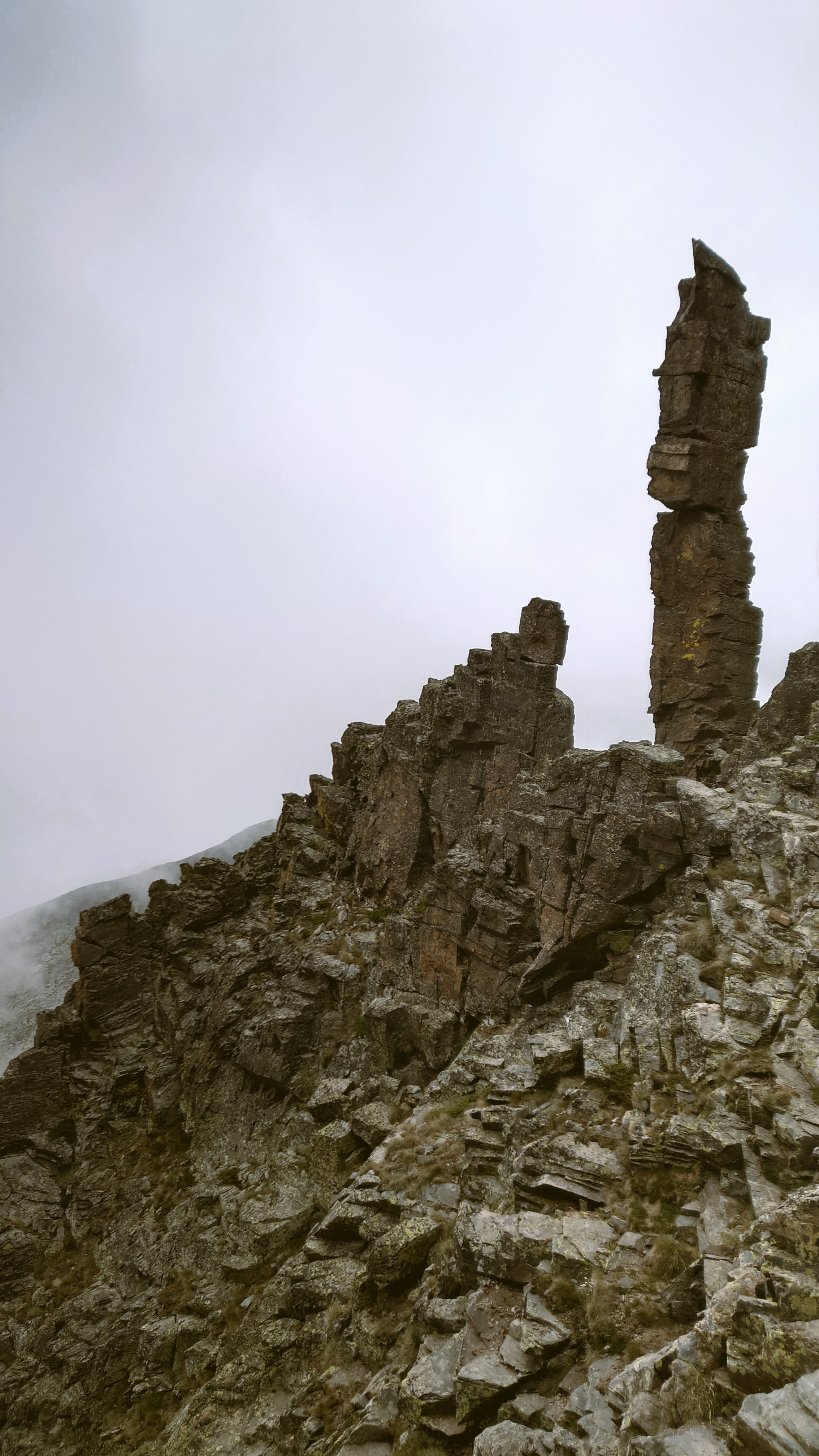 Atelier topobois cheminee canigou