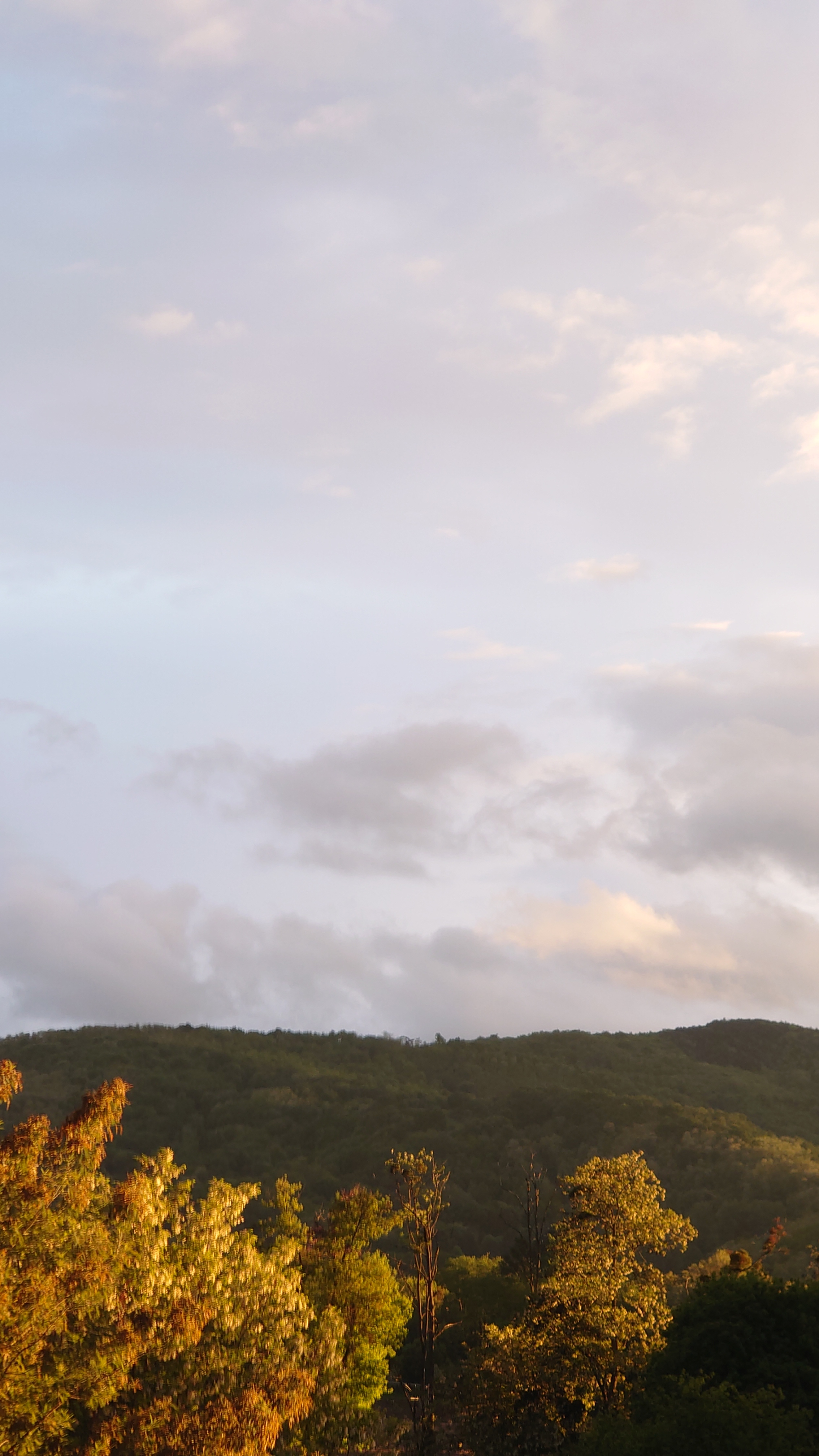 Atelier topobois ambiance foret