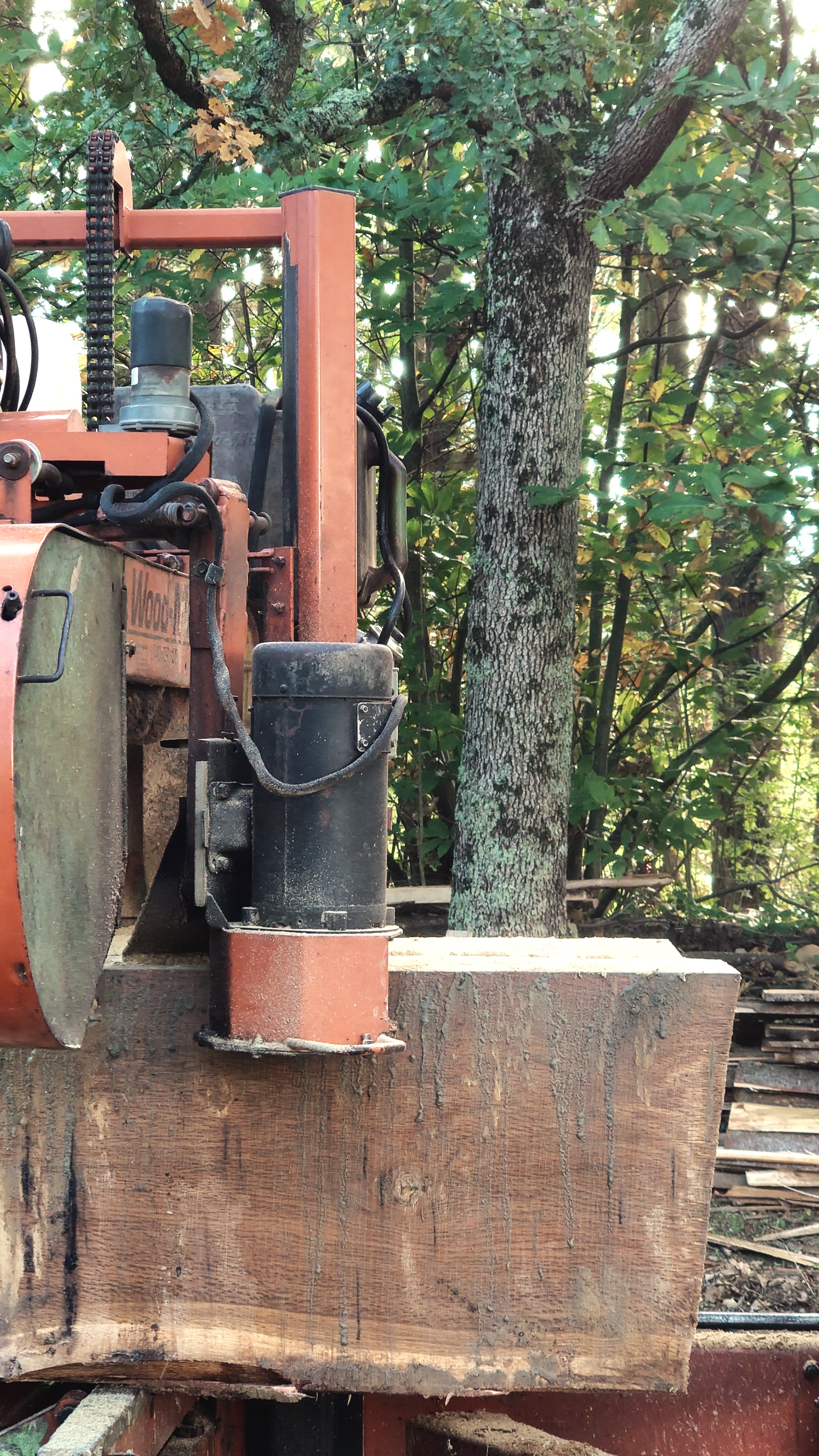 Atelier topobois sciage wood mizer