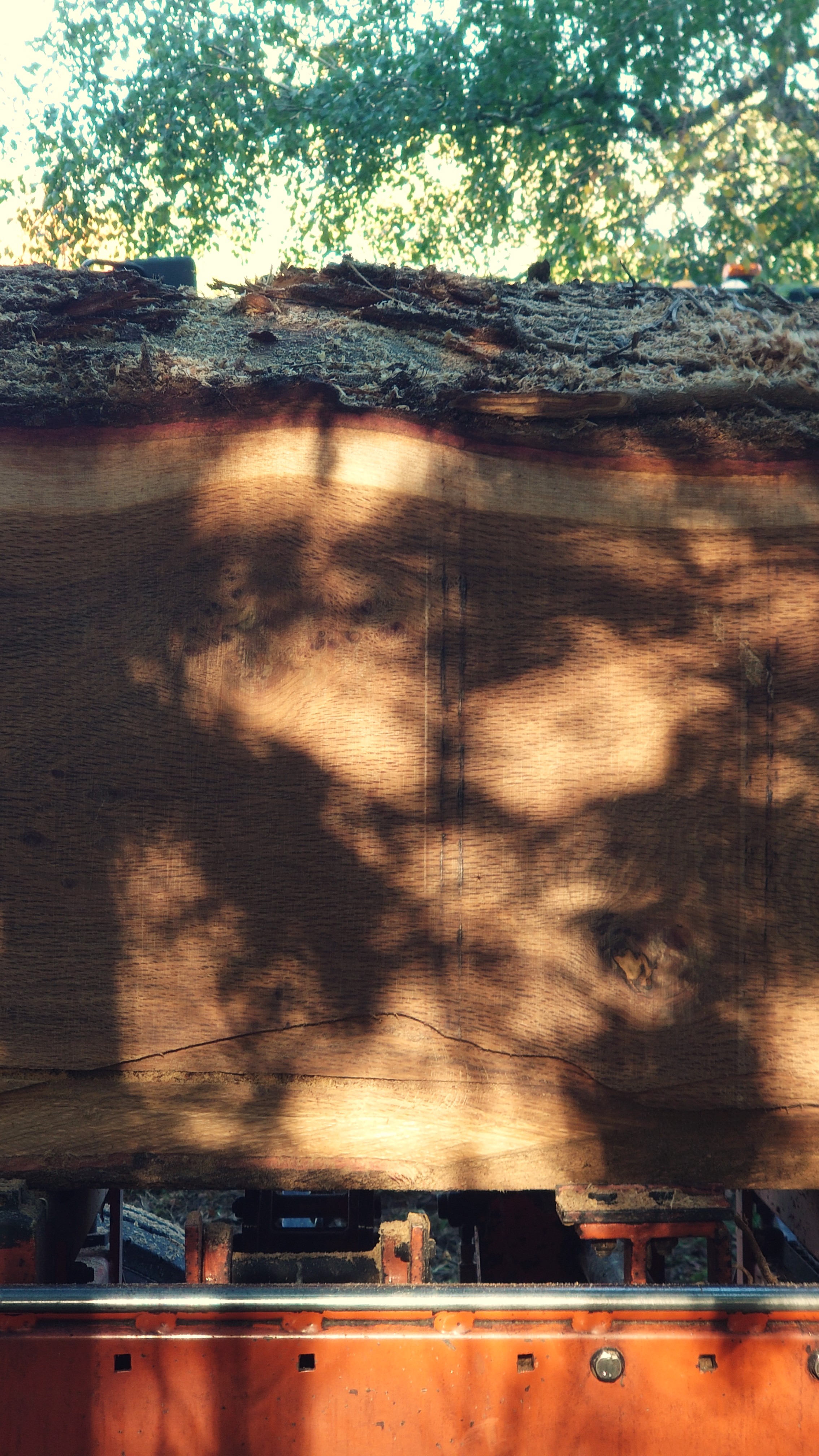 Atelier topobois sciage varilhes chene longpres